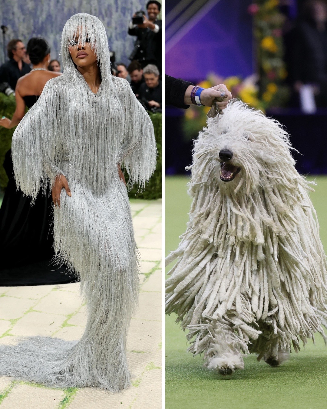 @Westminster Kennel Club