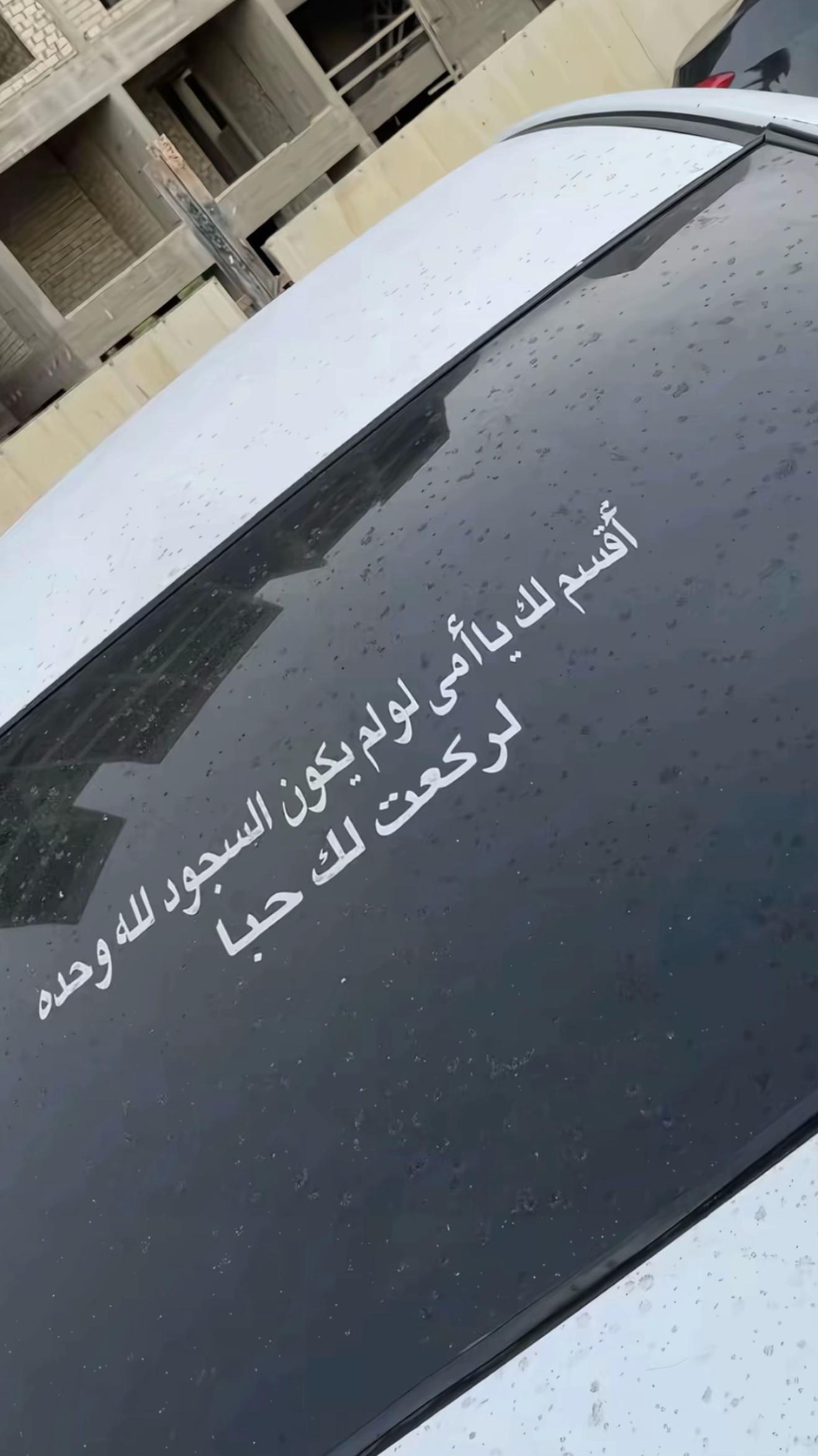 @Omar roshdy || عمر رشدي🤴🏻