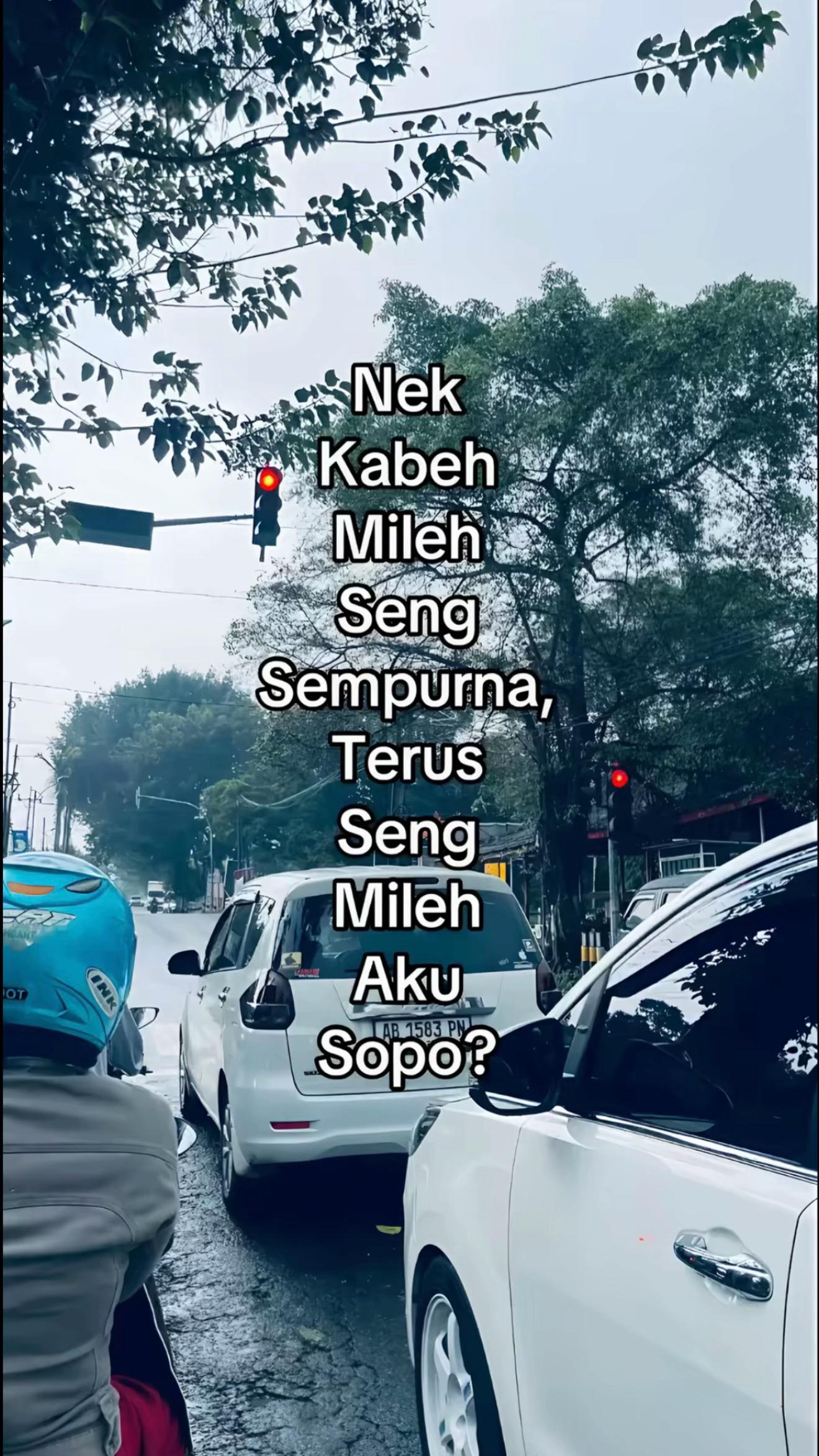 @ReRe🐛