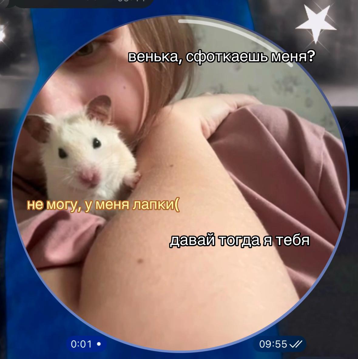 @тгк dashkiss