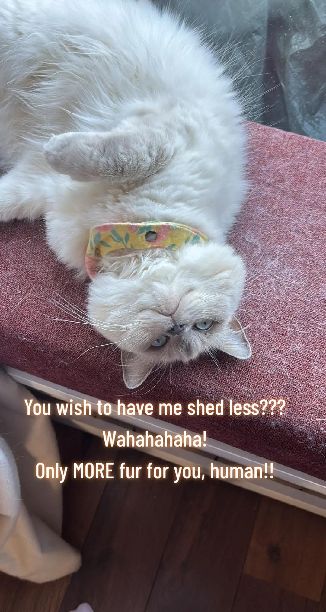 @peachandbeer
