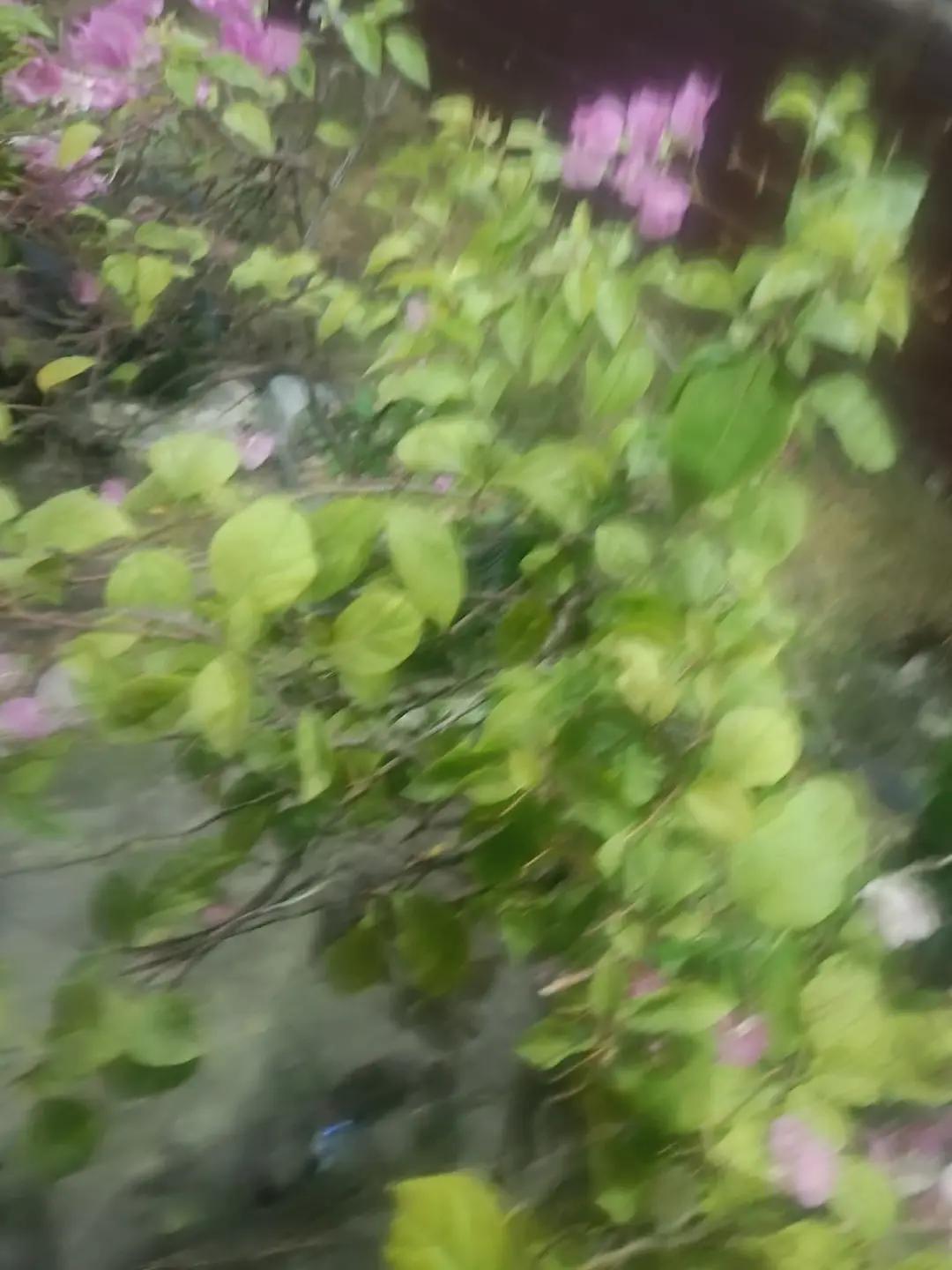 @丰μ∆§ f3l1c1ty §∆μ丰