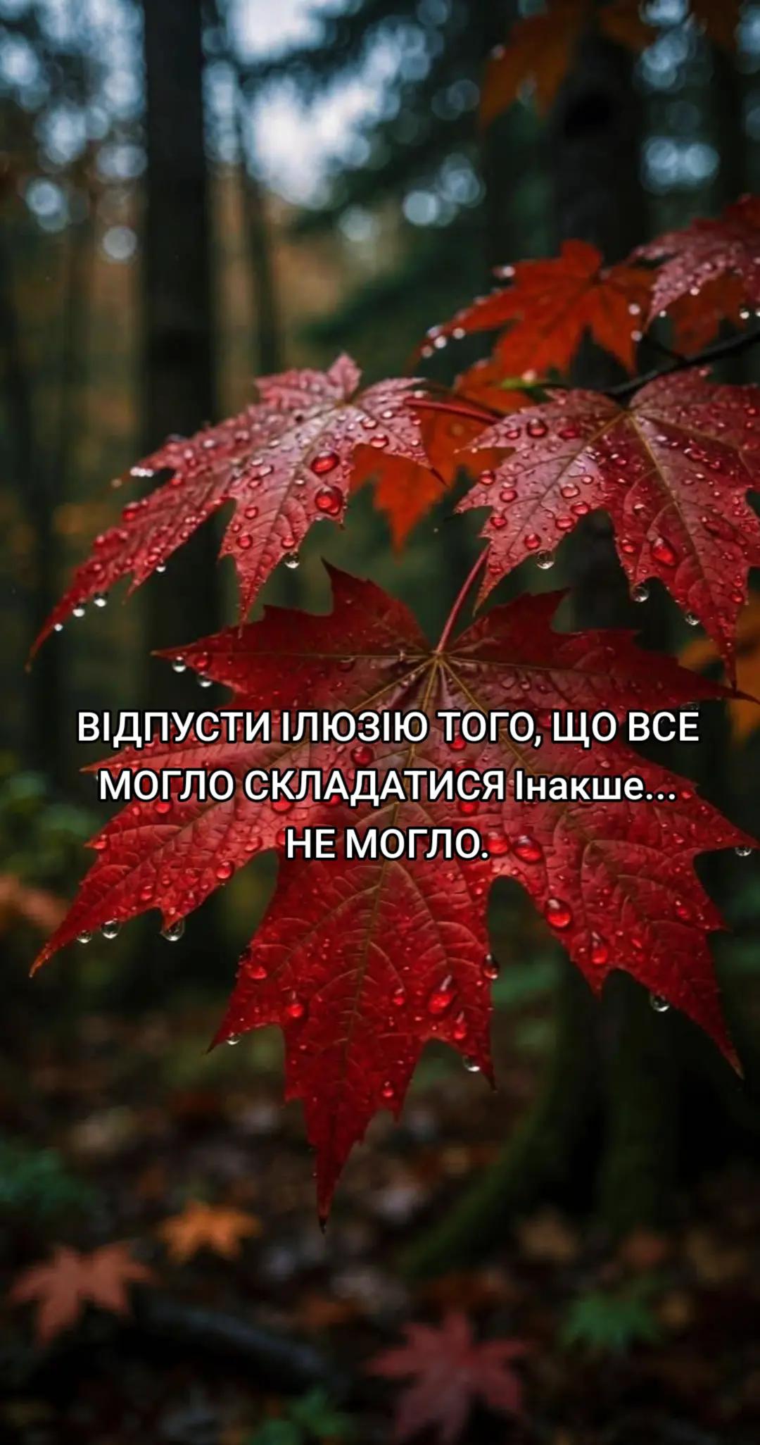 @🤍Alina
