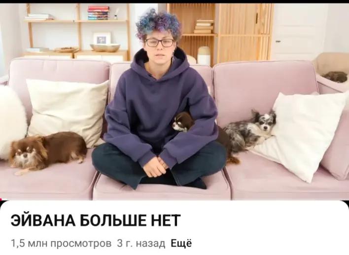@варшко🦔🦔