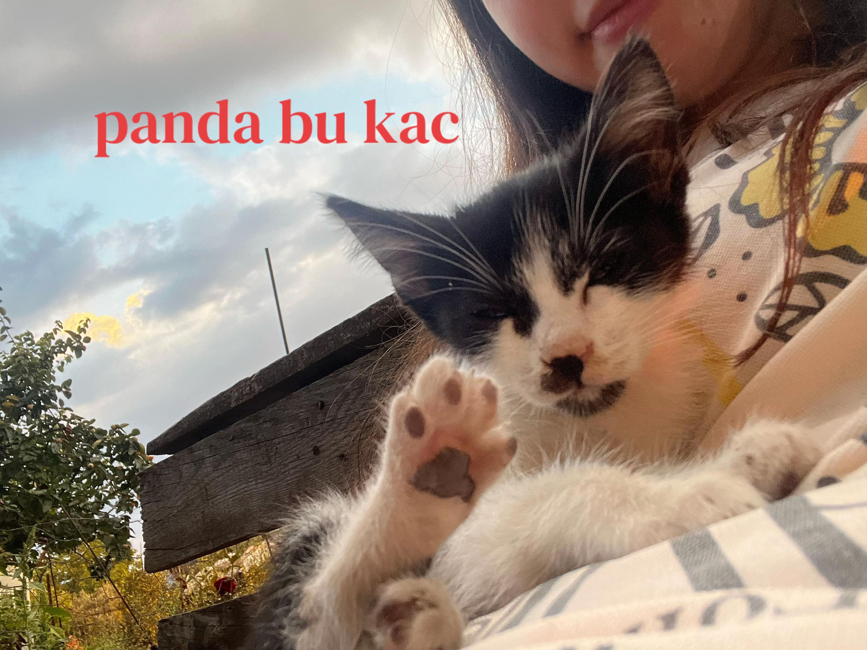 @꩜ï 🌱
