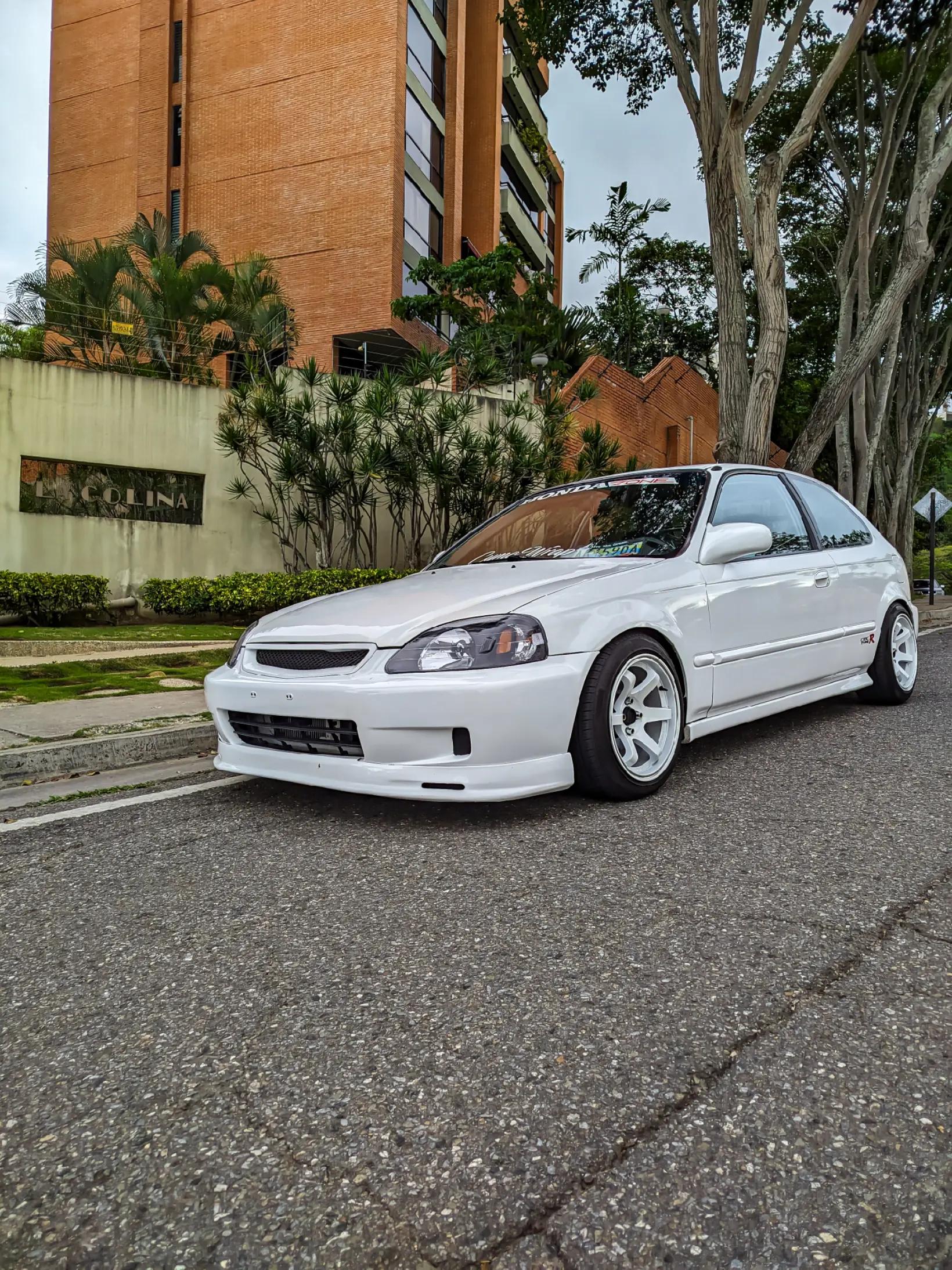 @Paradise Cars
