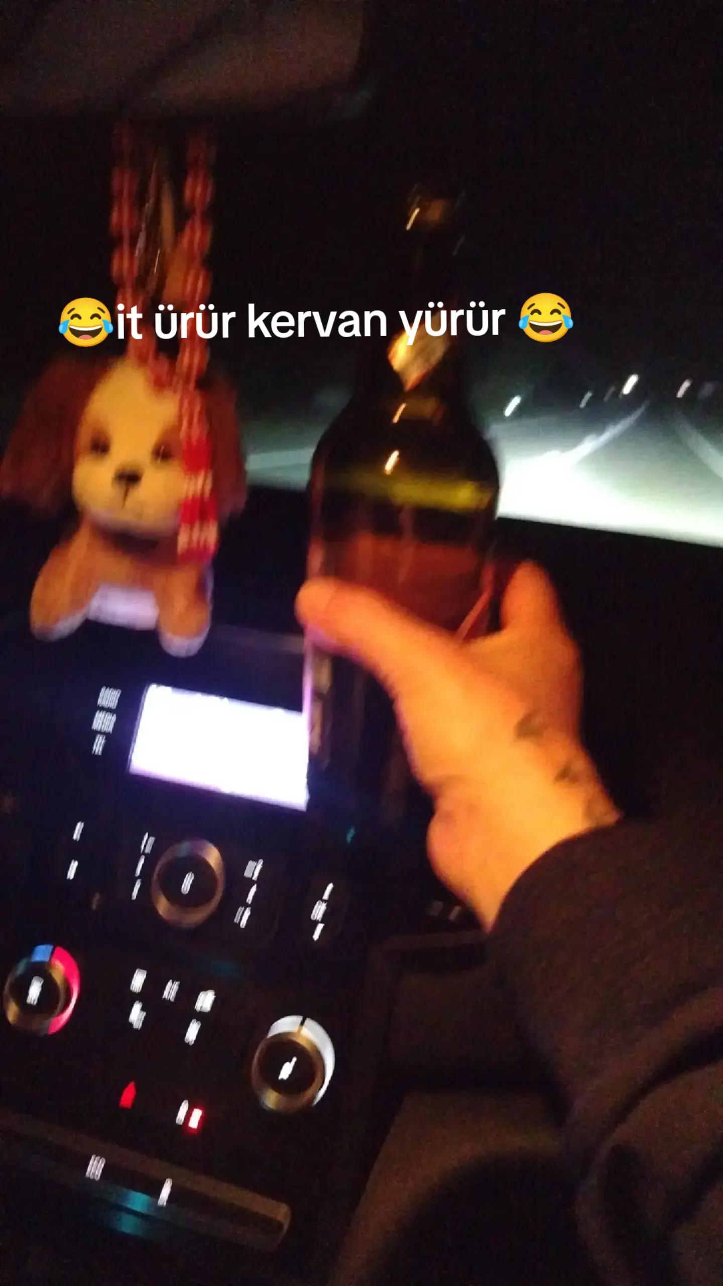 @Filiz Ates485