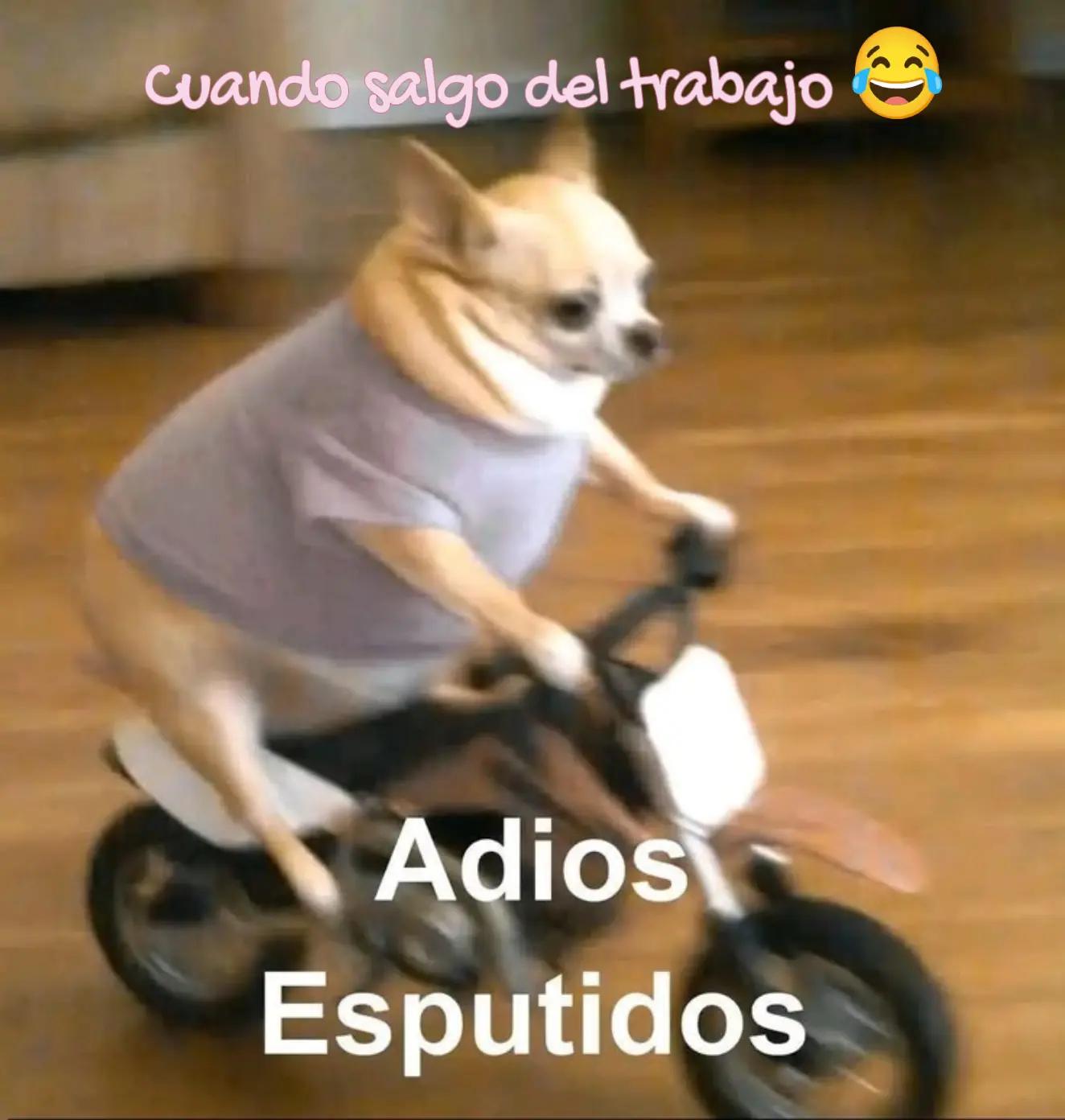 @Leticia rey