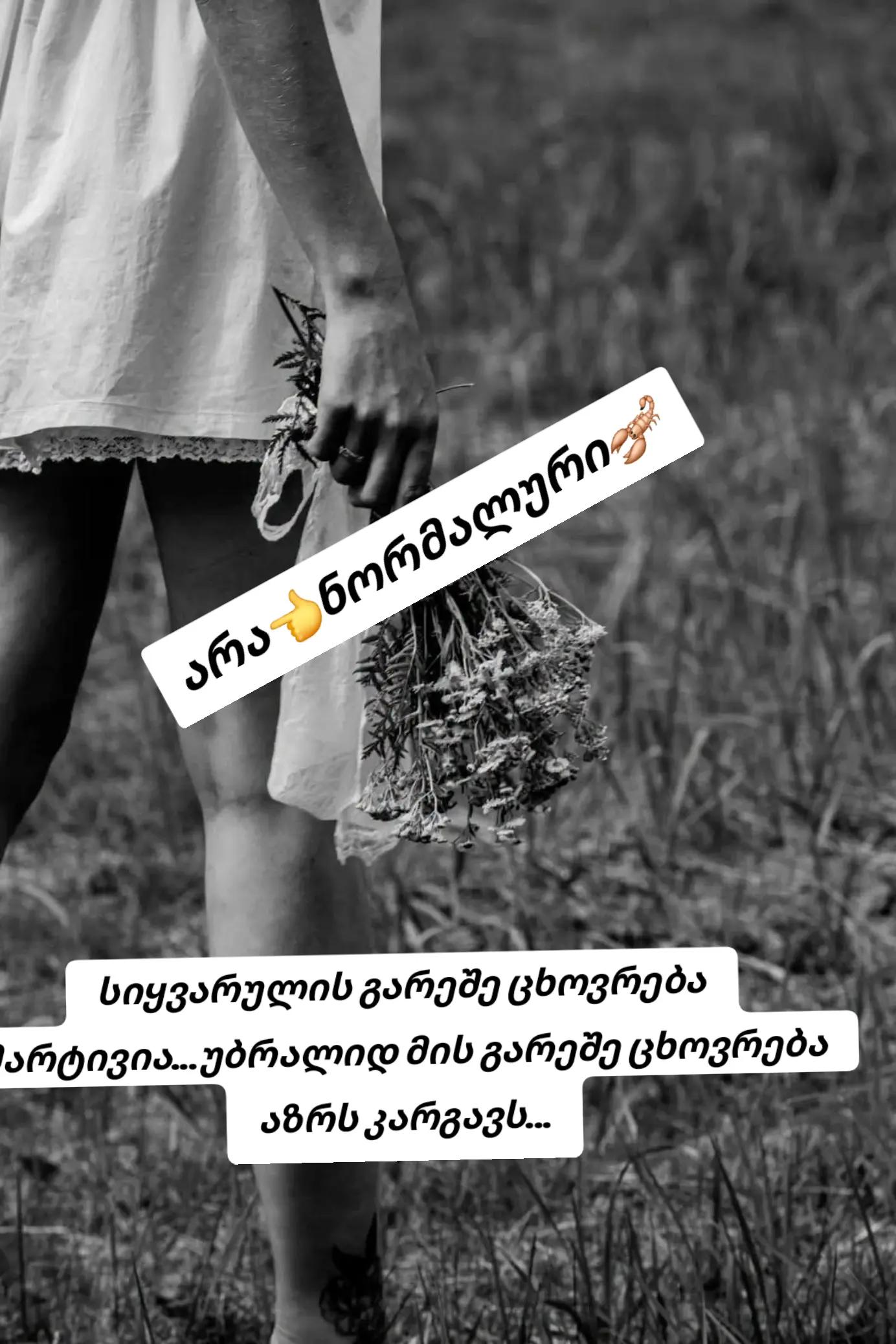 @โกแแ แ๐๐แแแ แแแแฃแ แ๐ฆ