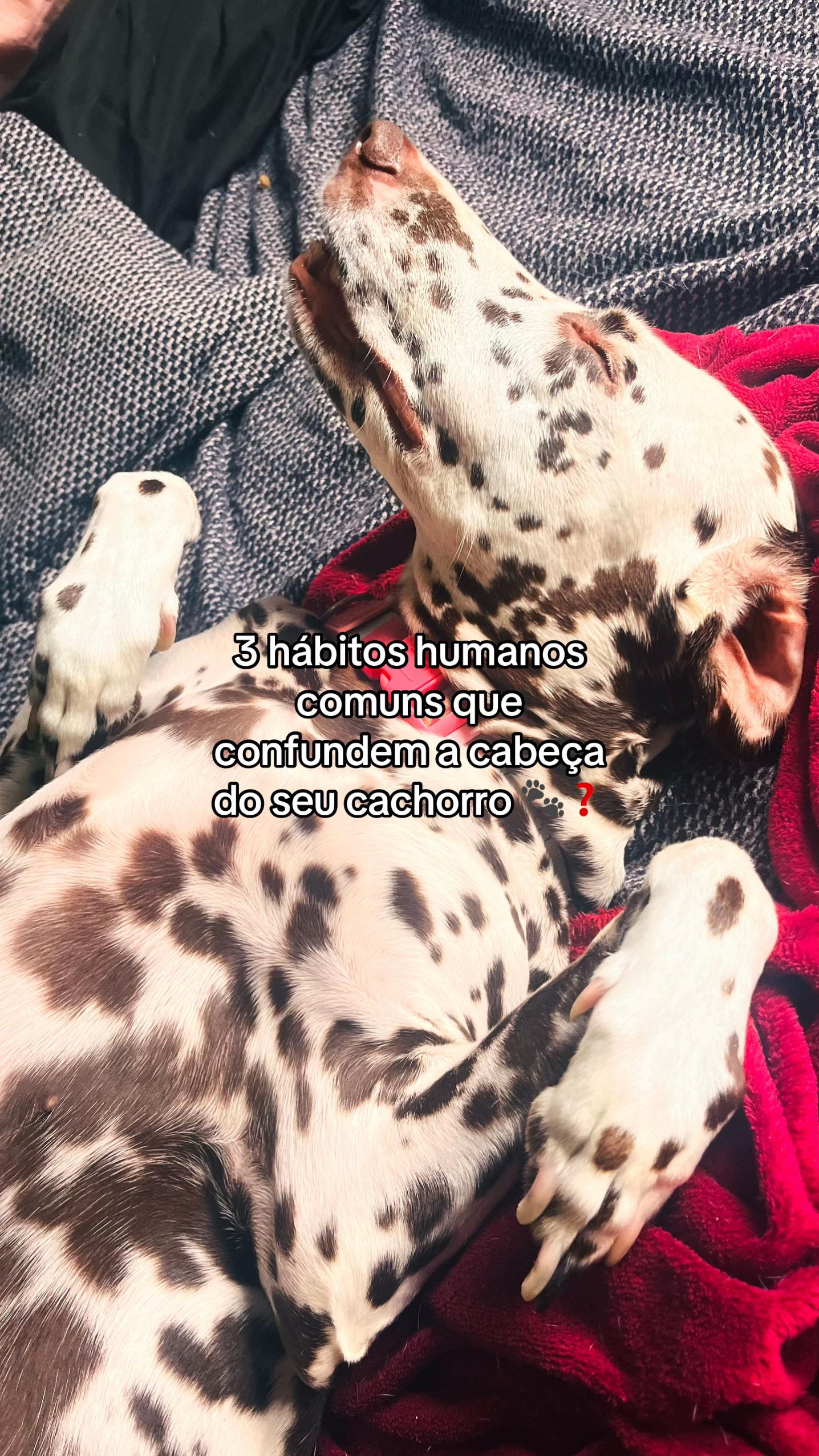 @Margô e Jude