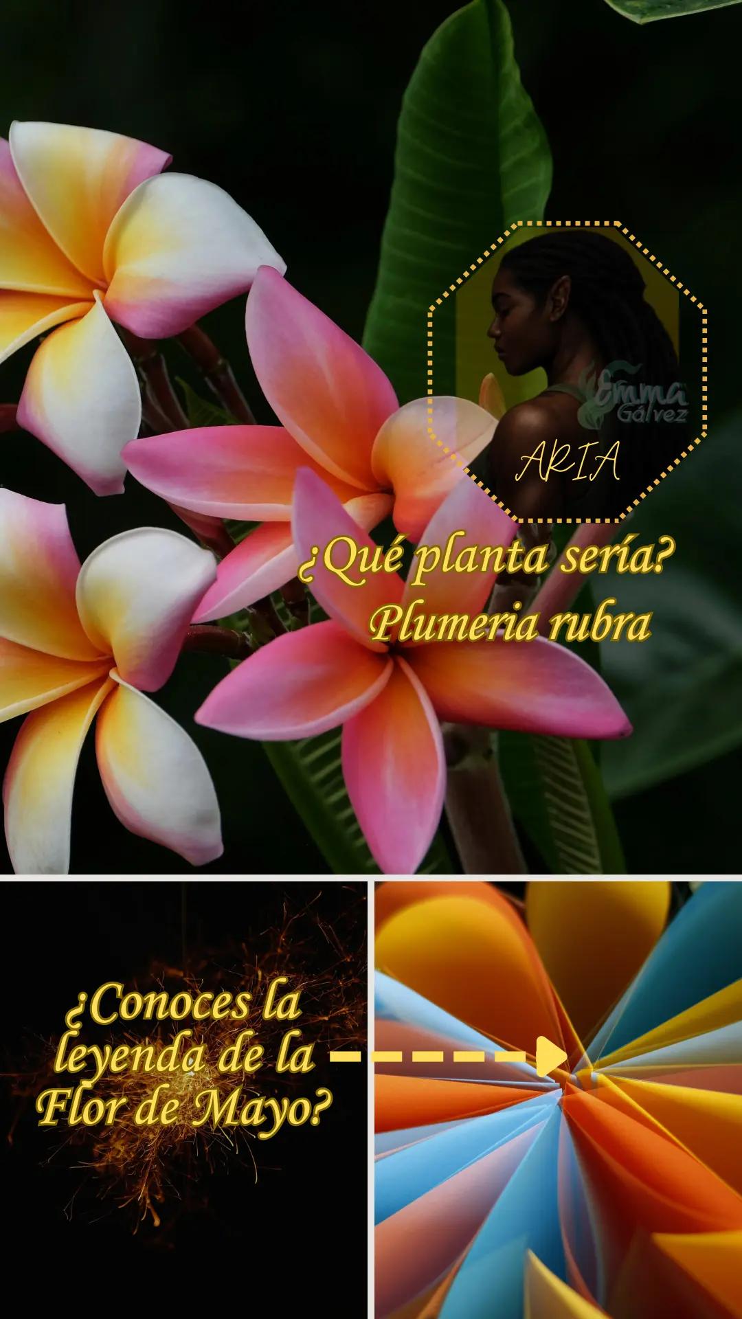 @Emma Gálvez Pastor