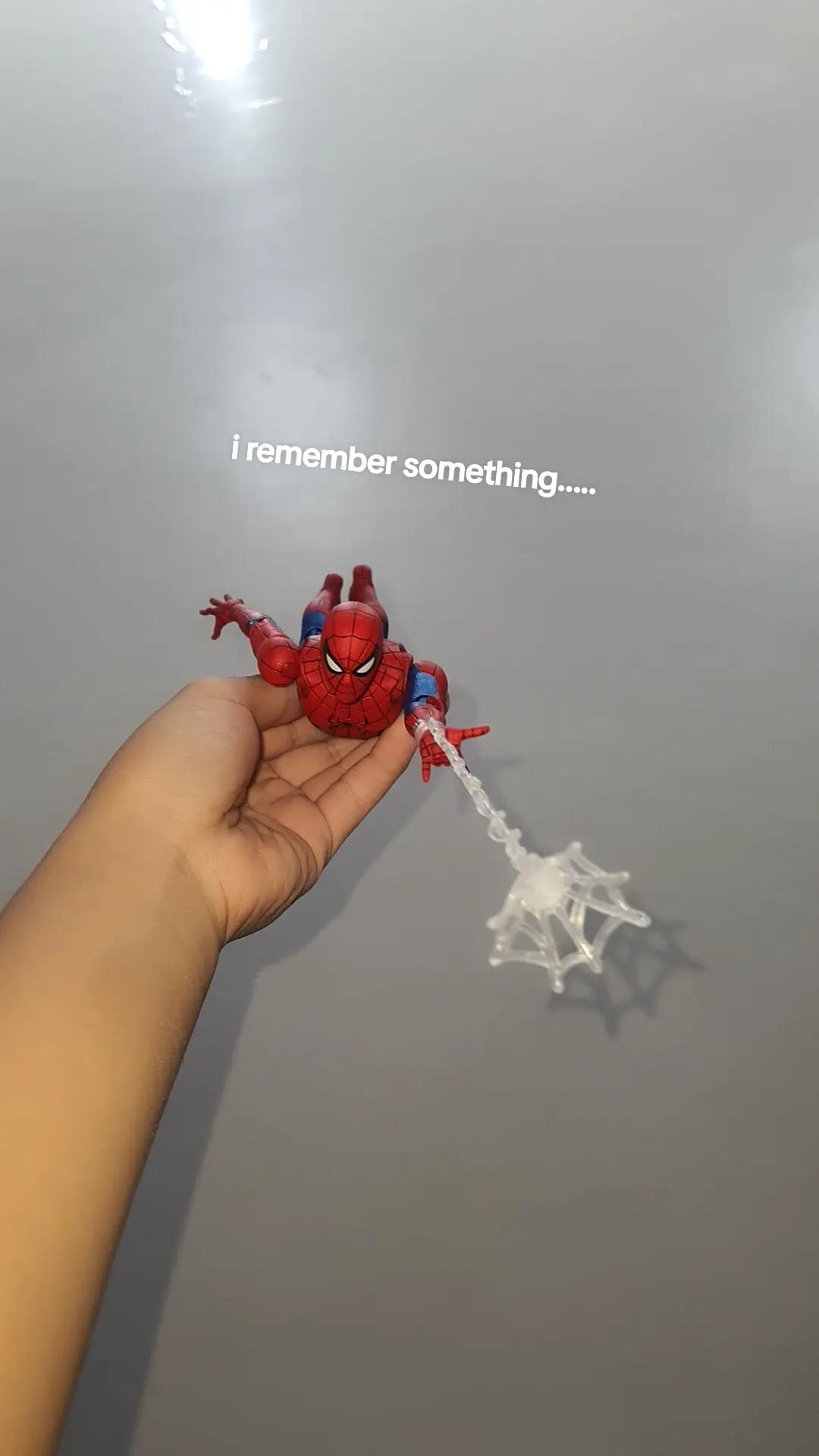 @BOLT⚡️