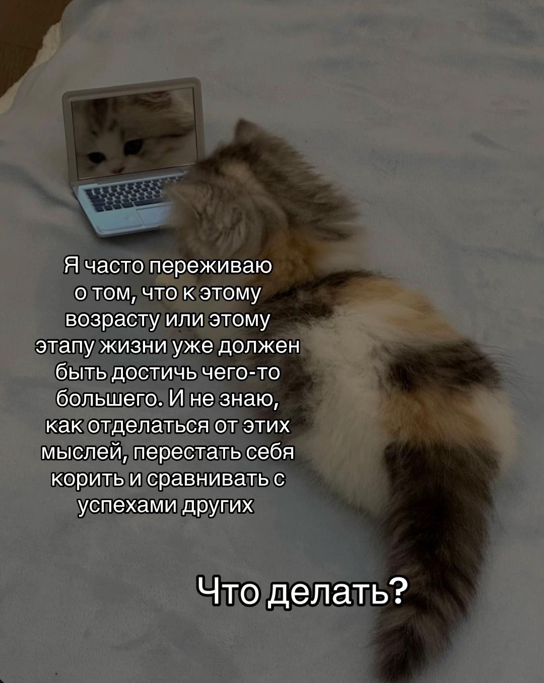 @тгк: психология с марго