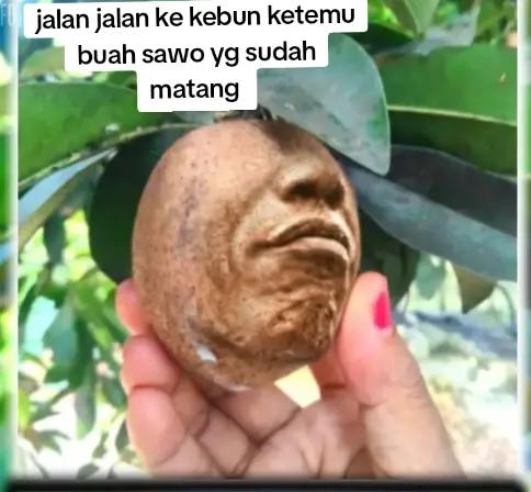 @witrriana&yans