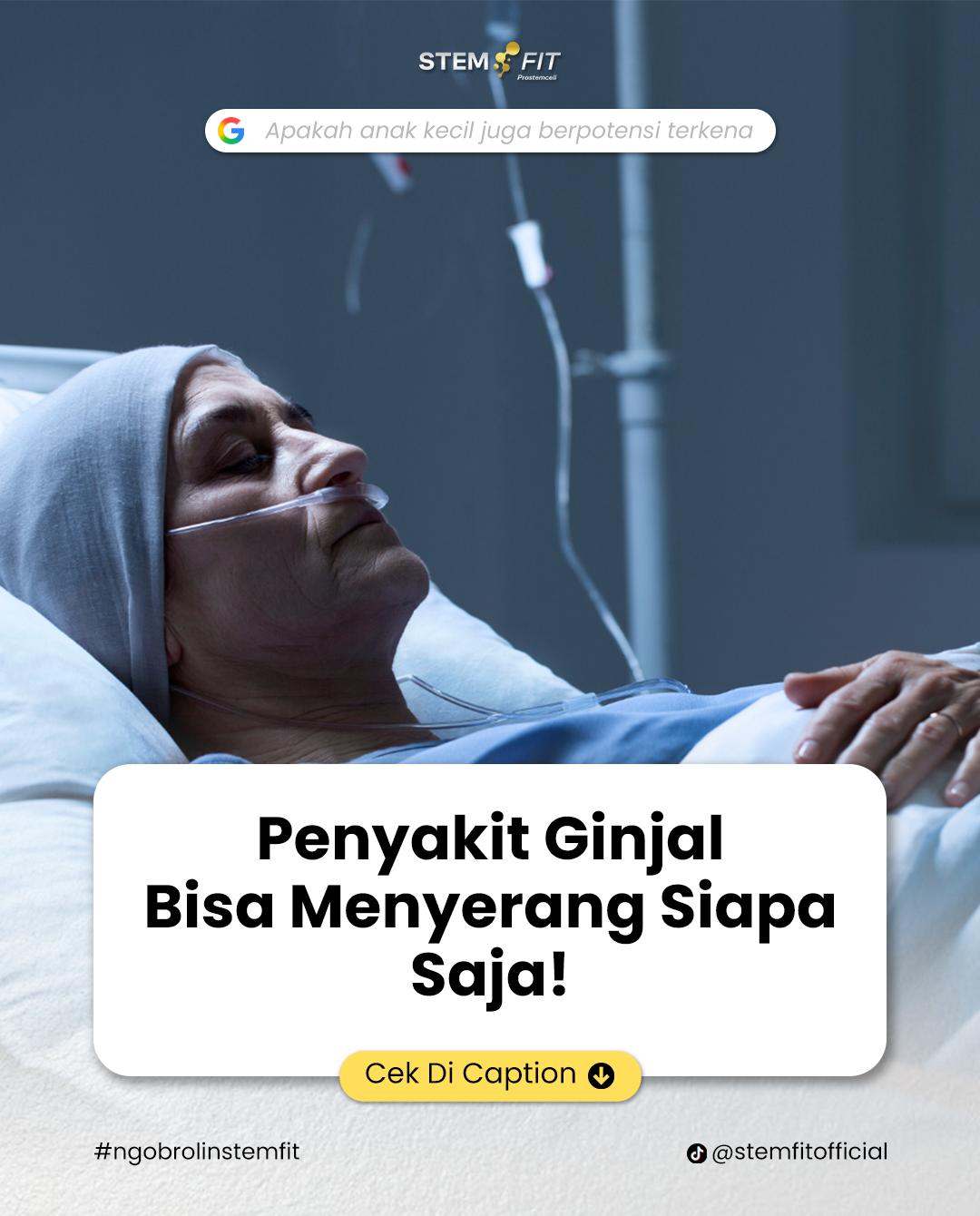 @Stemfit Official