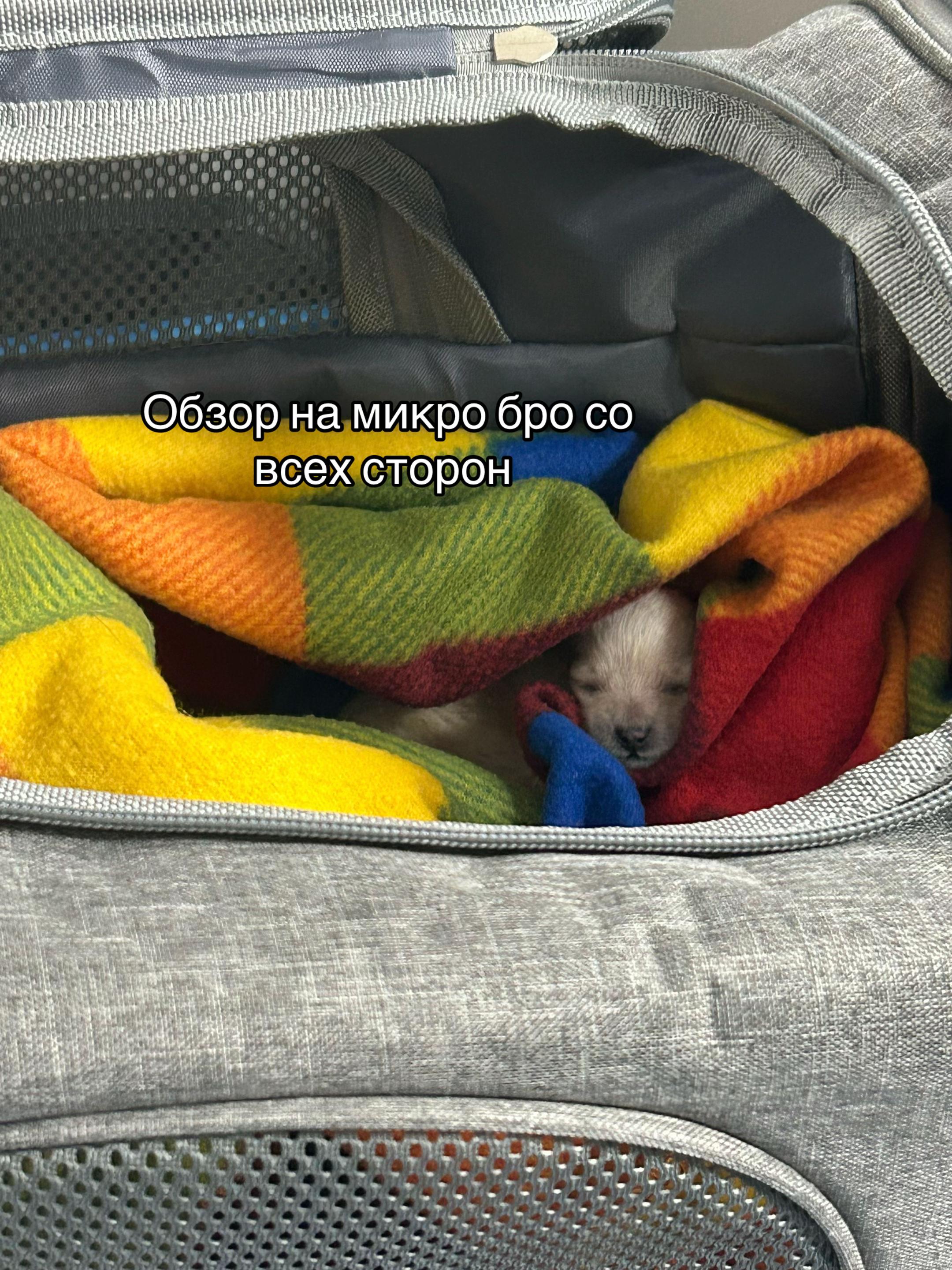 @Бельферг