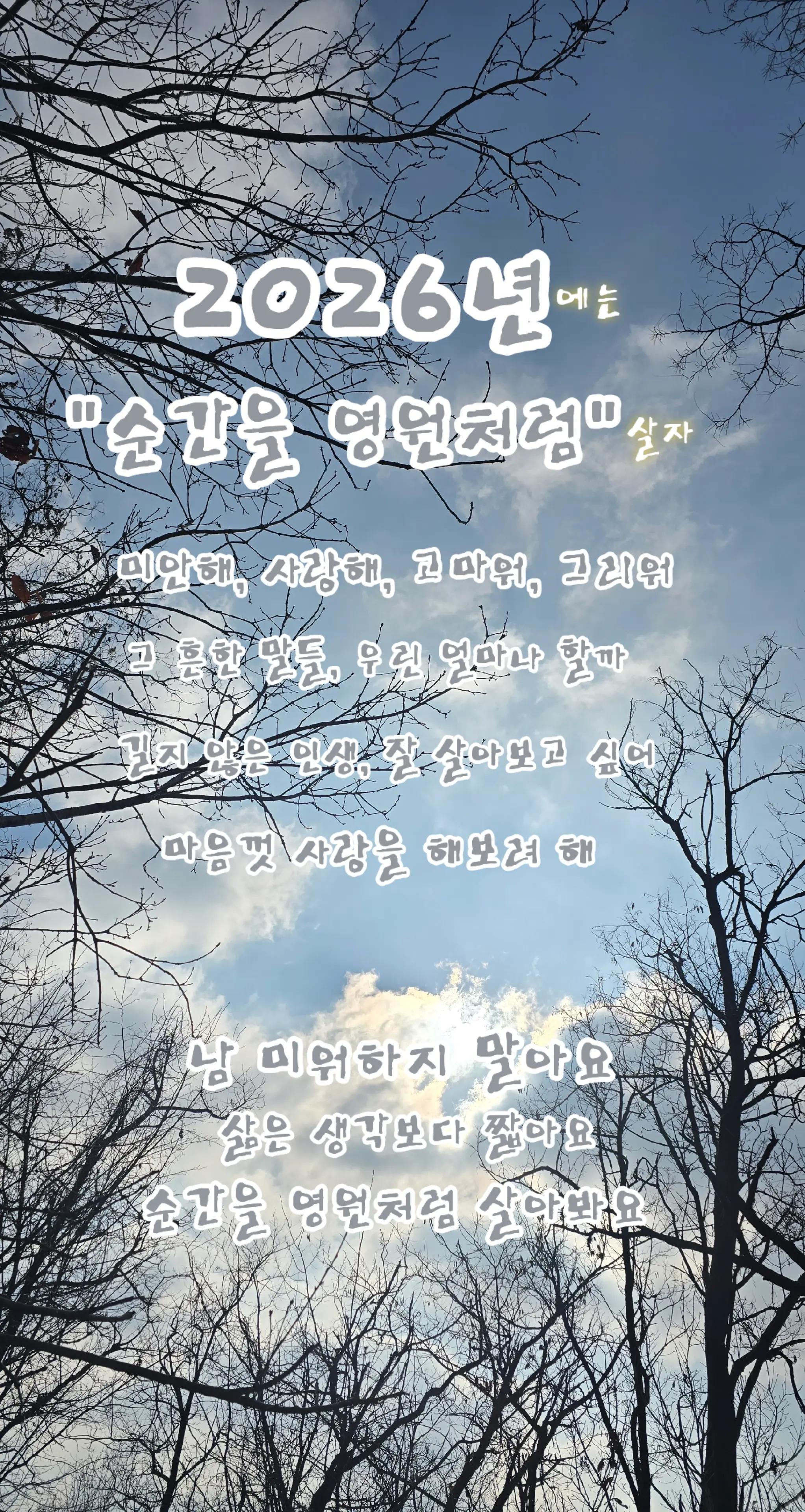 @마리히/라임오렌지나무
