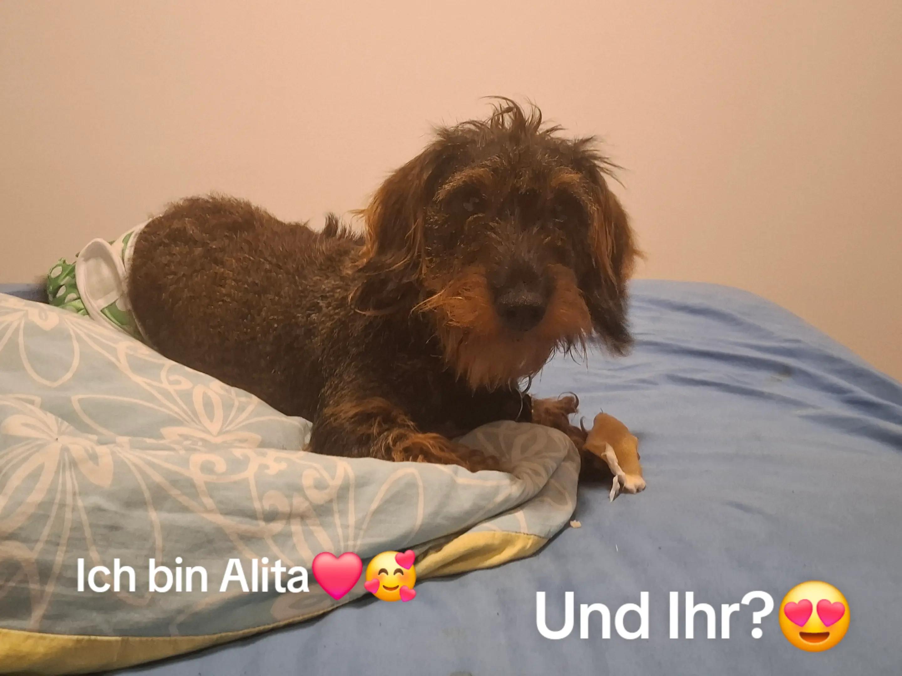 @Anja