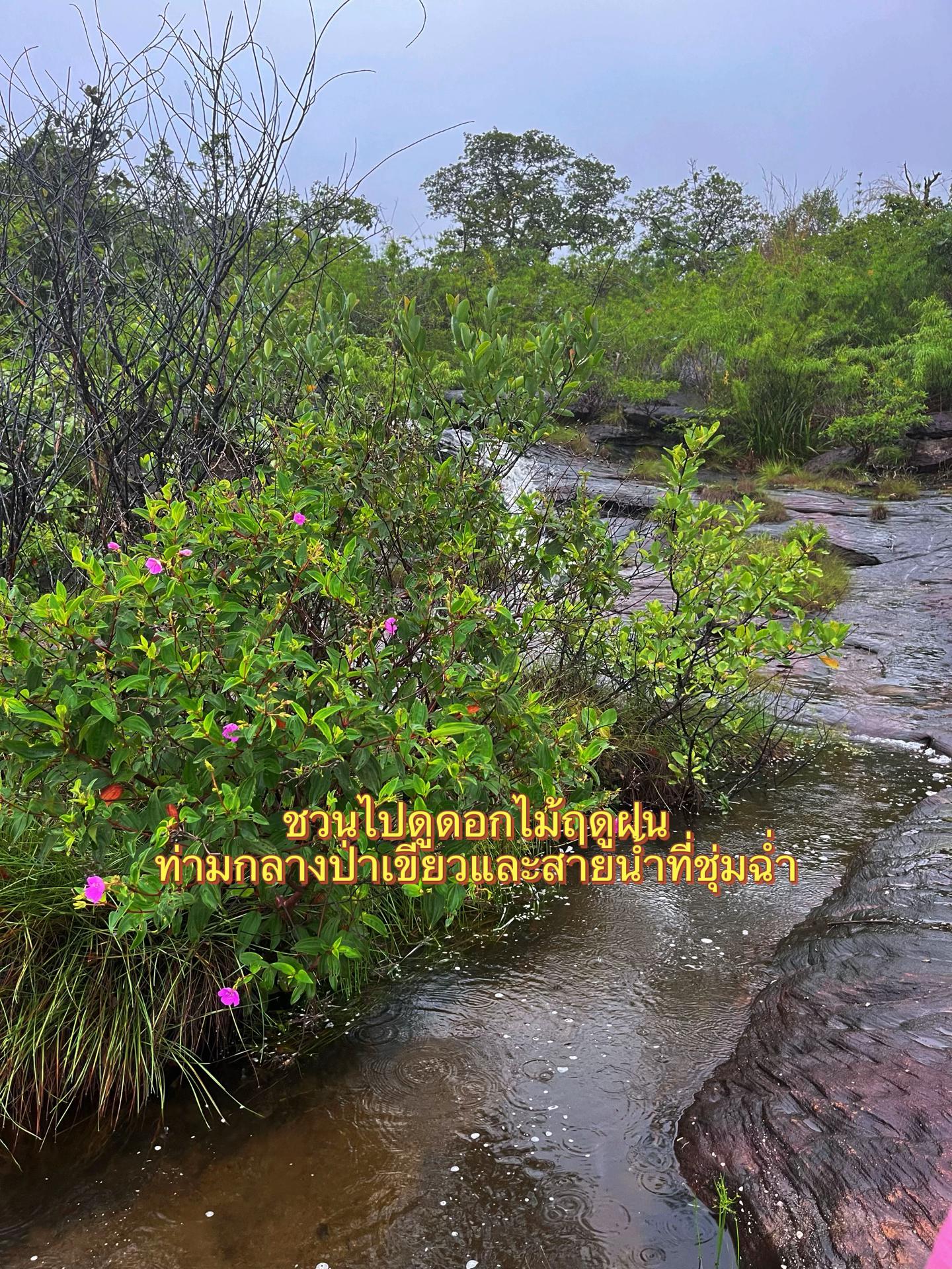 @ครูอ๋อมที่ชอบหนีไปปีนเขา⛰️🍃🩵