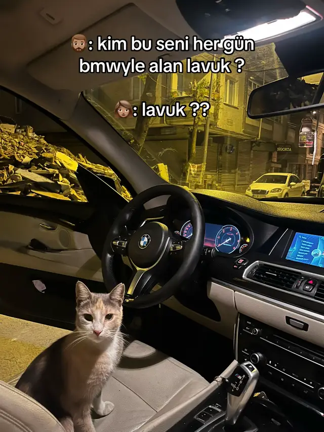 @aleyna