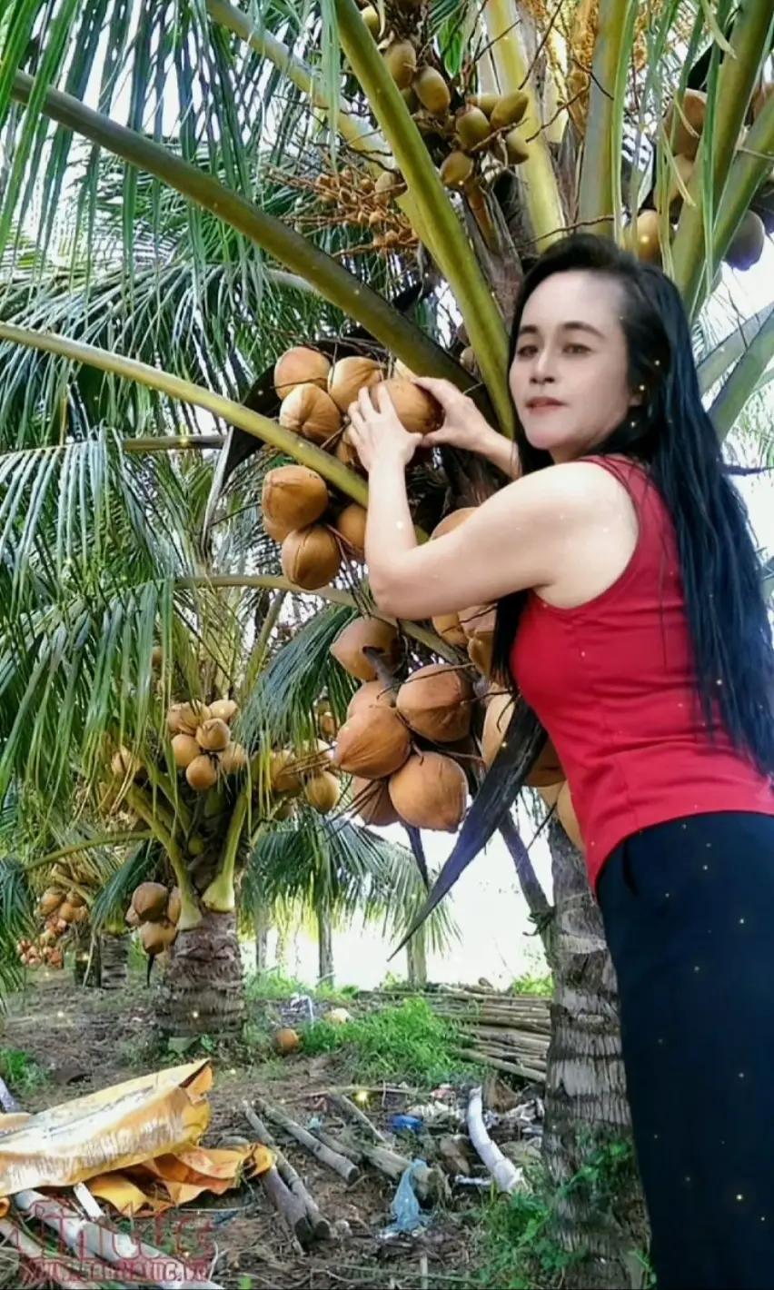 @R 2026