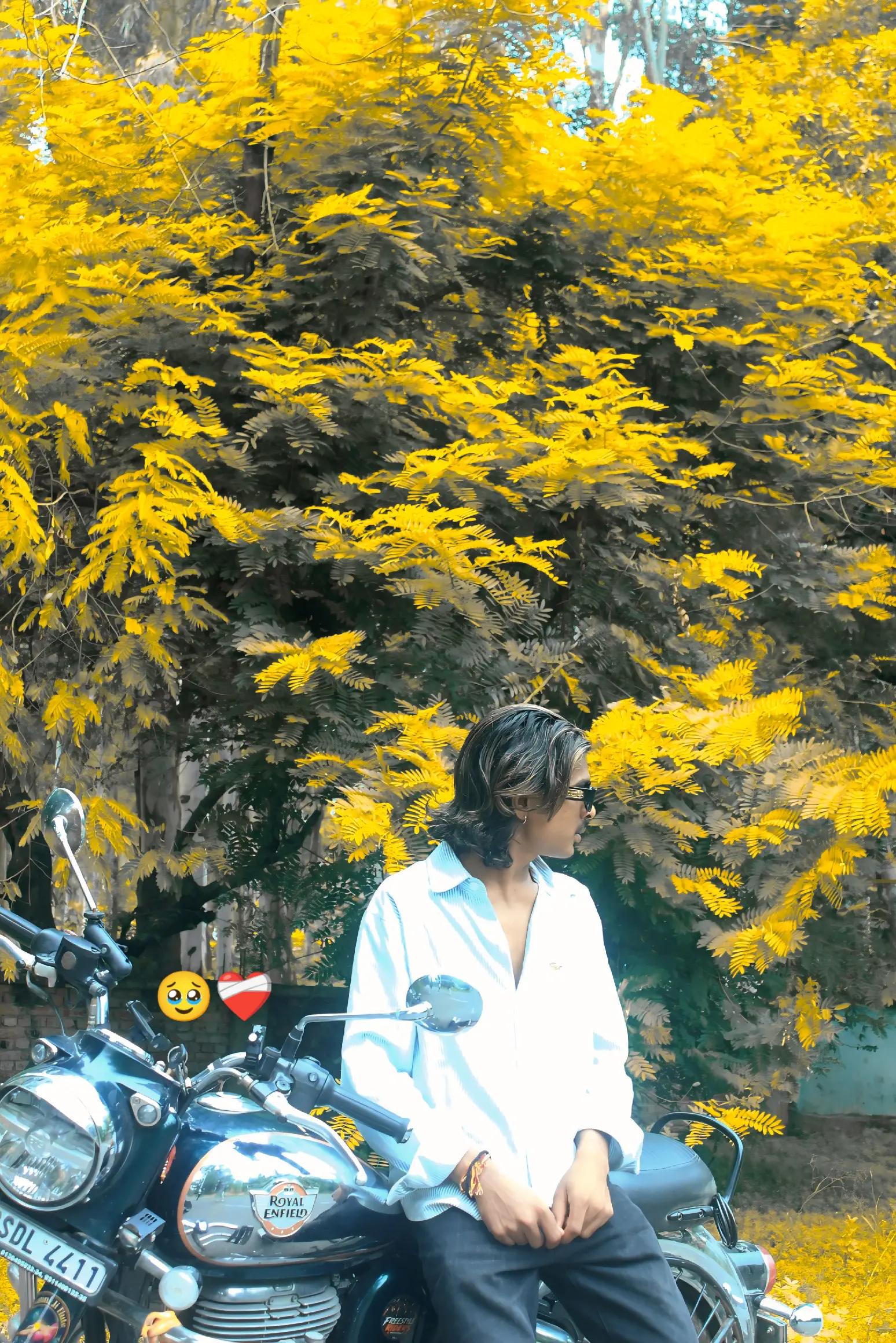 @๐งโ๐นโ๐ธโ๐๐งโ๐ดโ๐ฐโ๐ฆโ๐ฟ๐ป