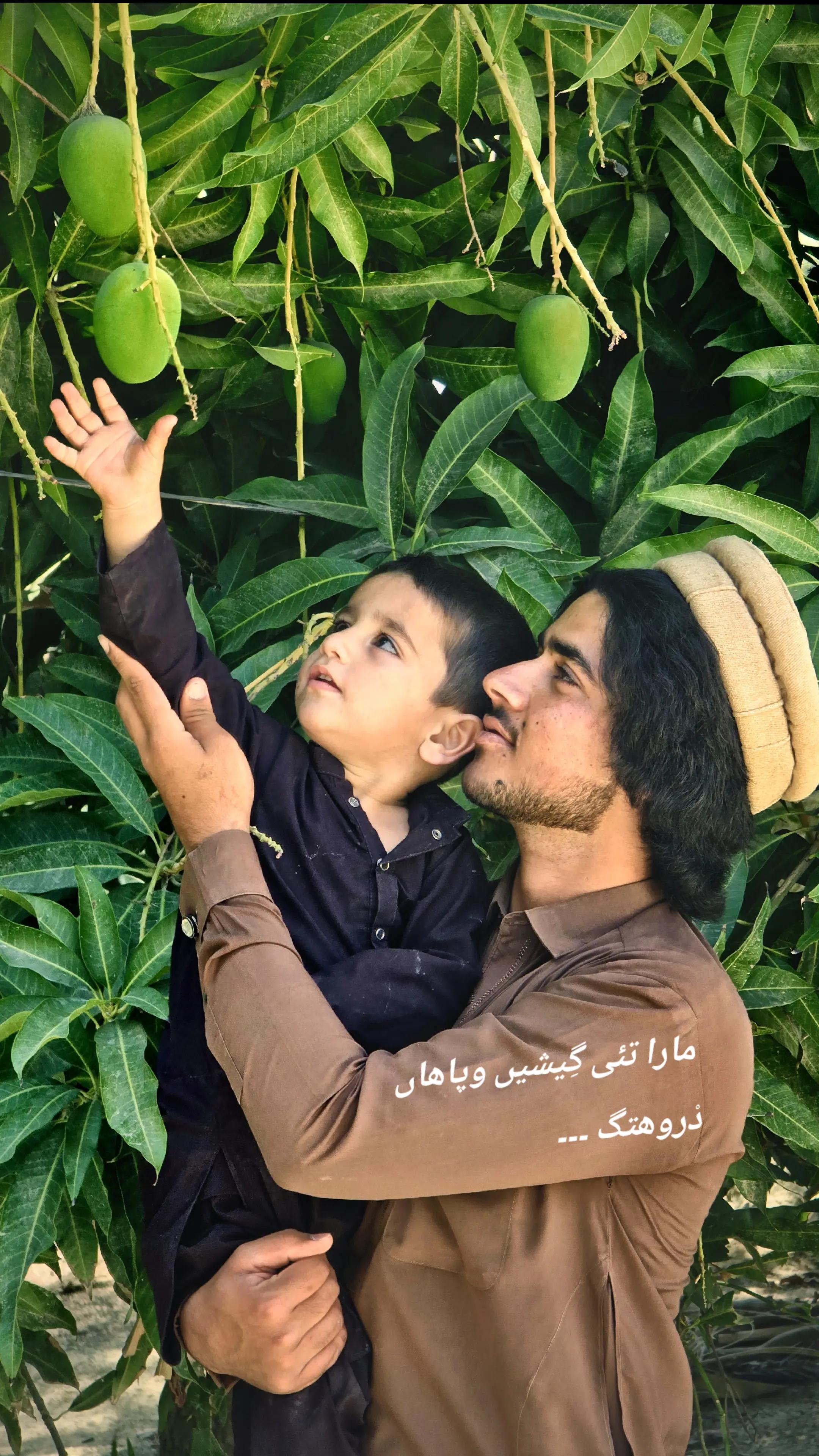 @Haji_salman92