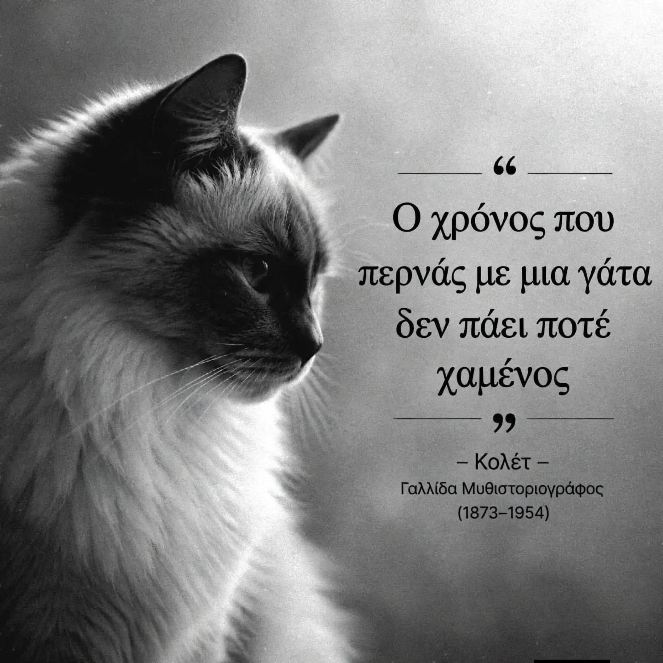 @vasilisxrysanthis