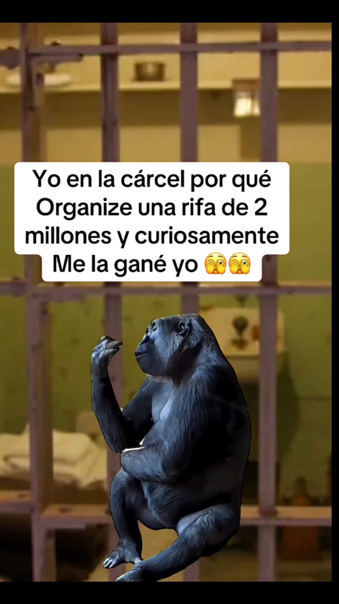 @Pedro Cruz