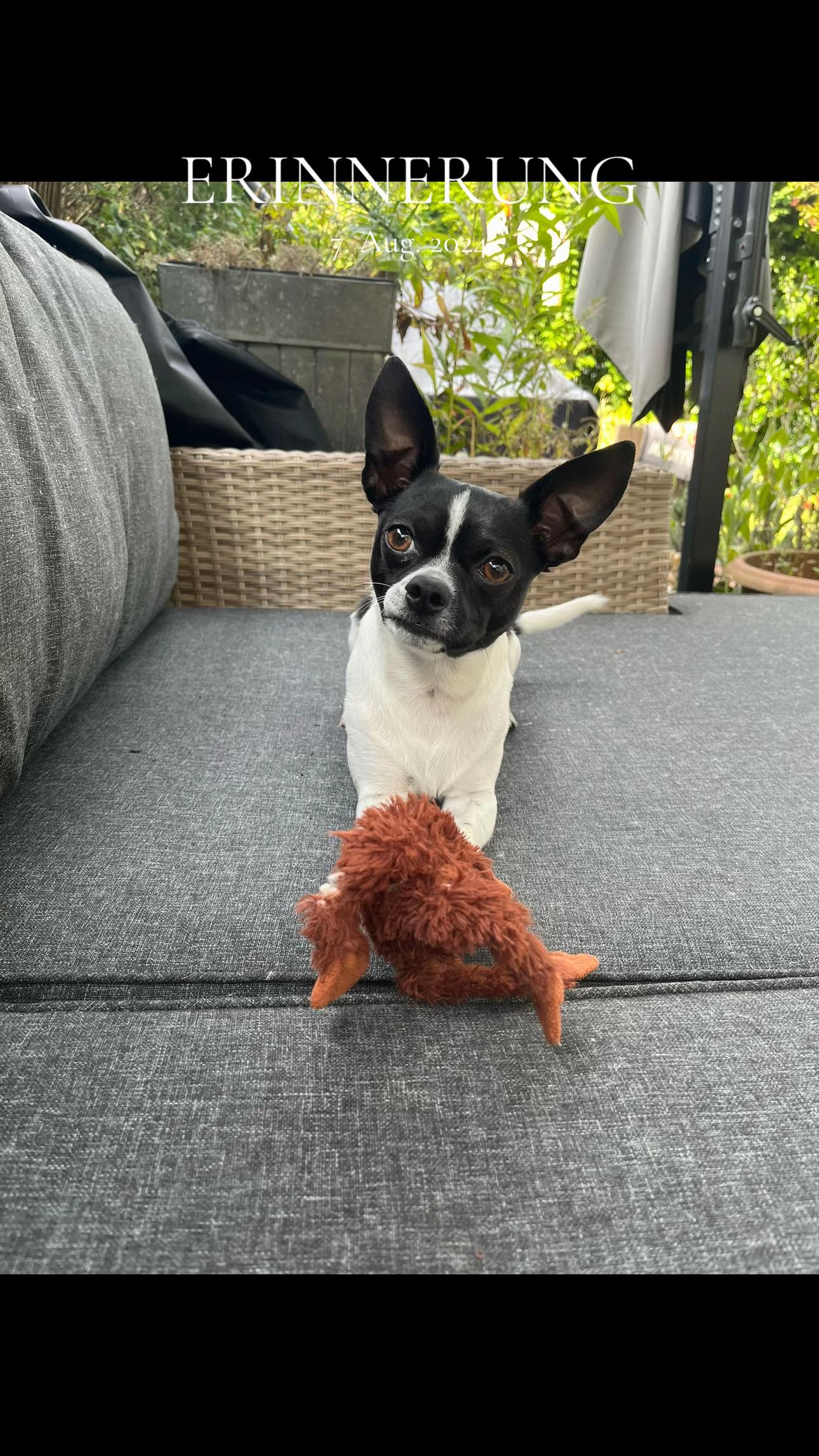 @Mo&Gi Life 🐾❤️🥰