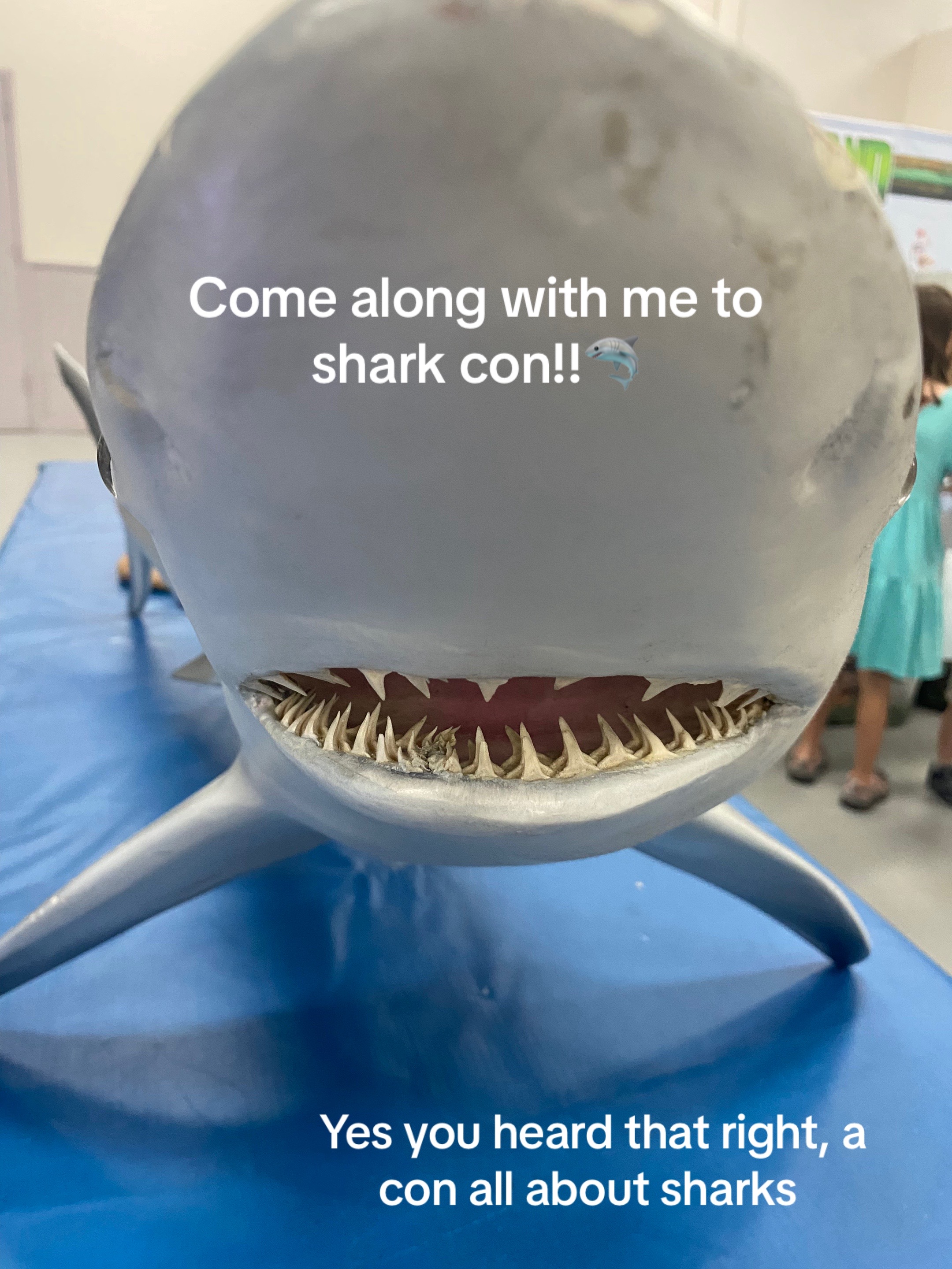 @Sada! 🦈🫧🪸