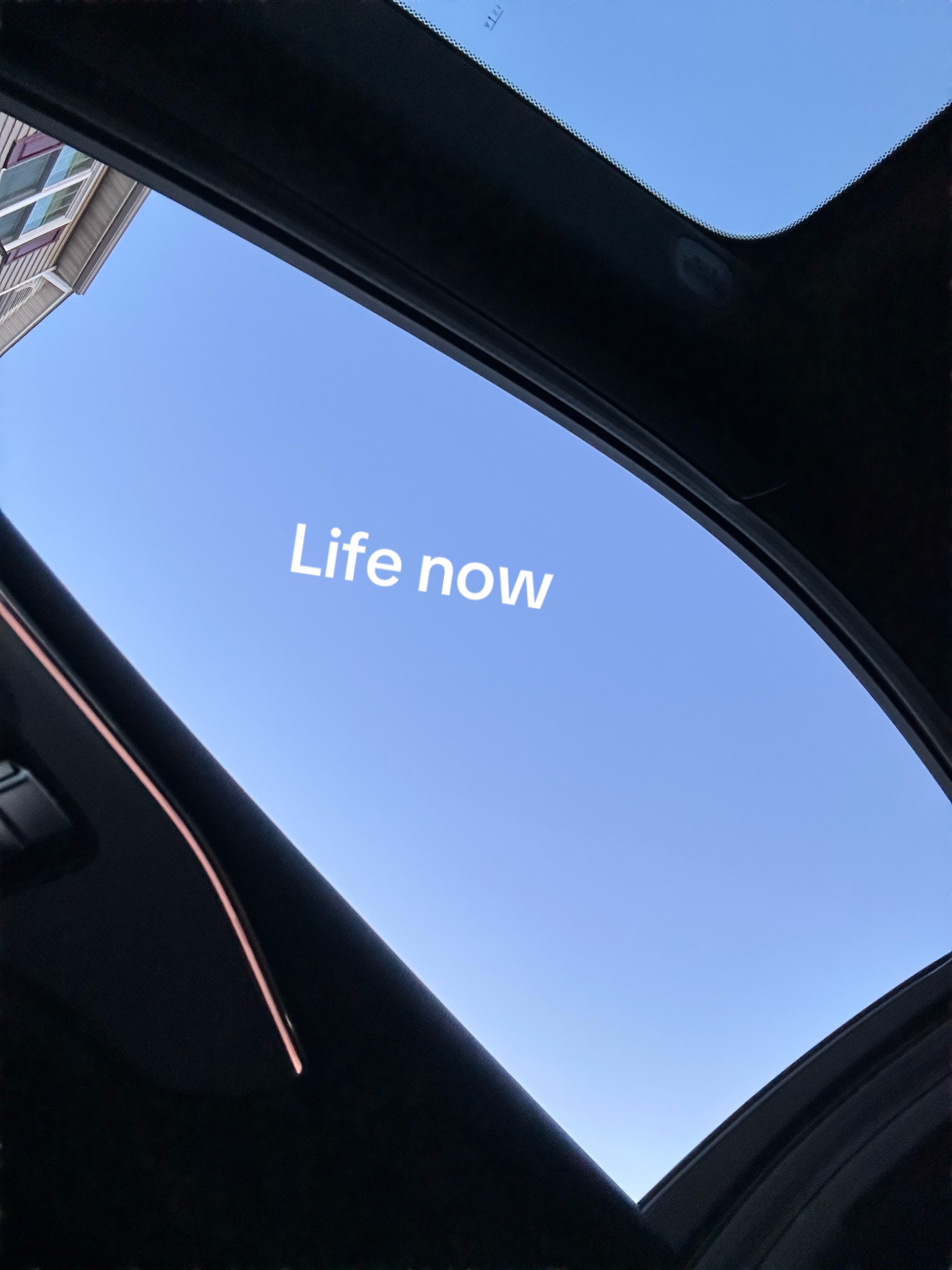 @ᥫ᭡