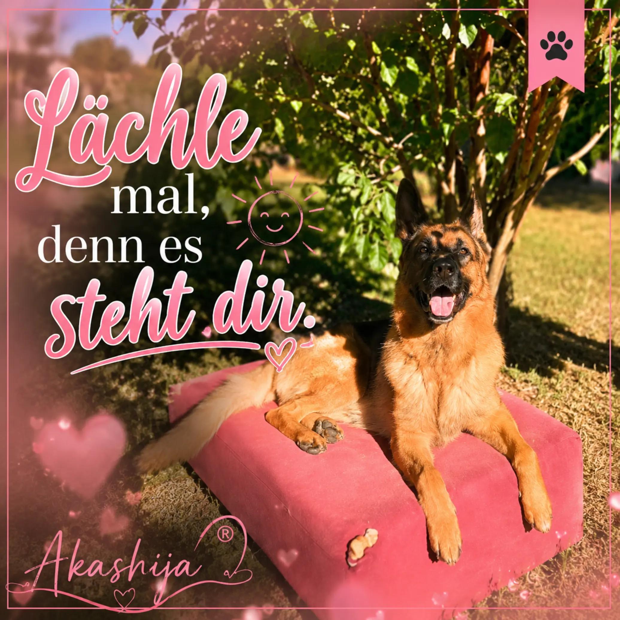 @Akashija
