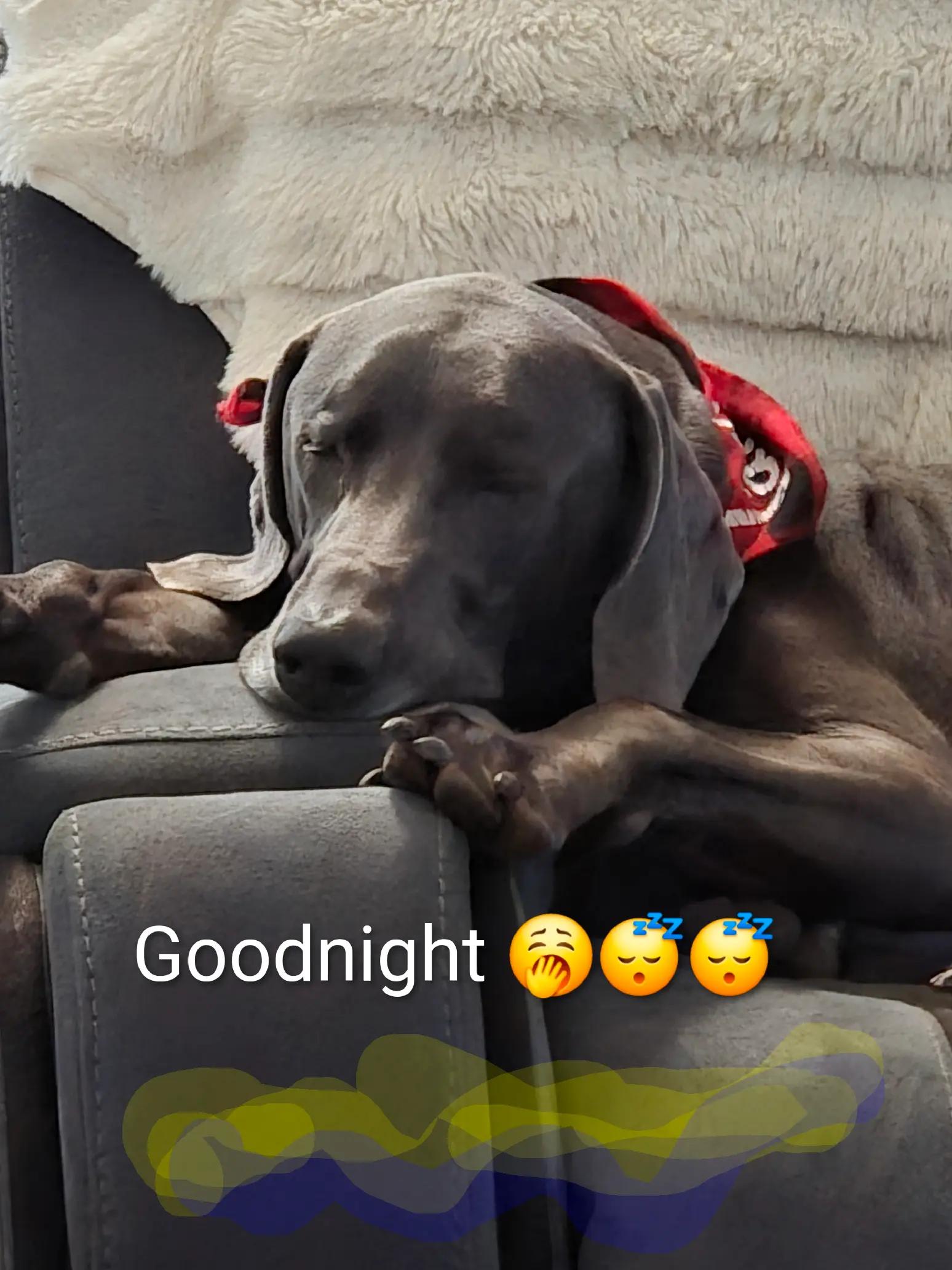 @sandyandjax437