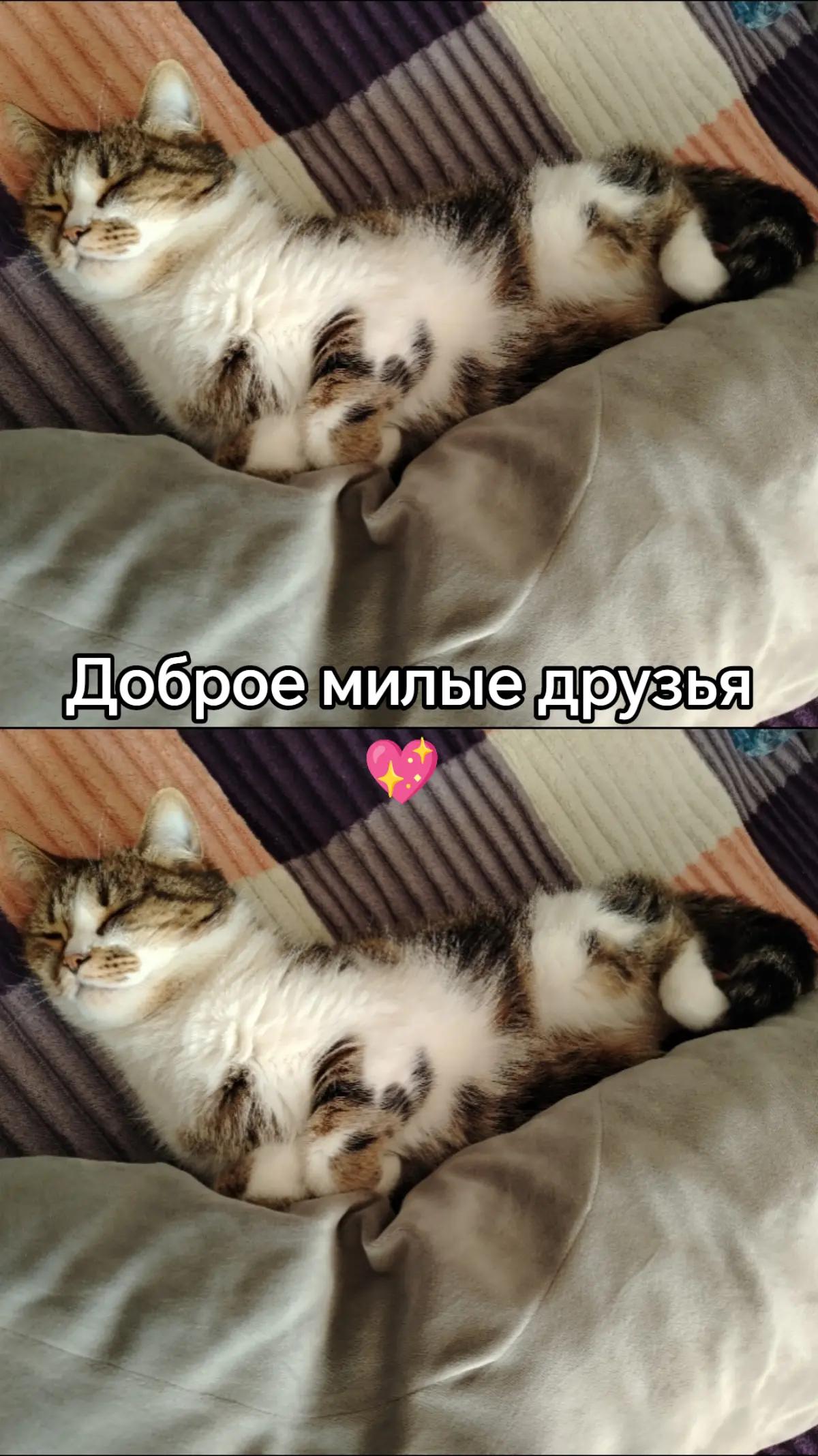 @&hearts;️МАЛЕНЬКАЯ &hearts;️