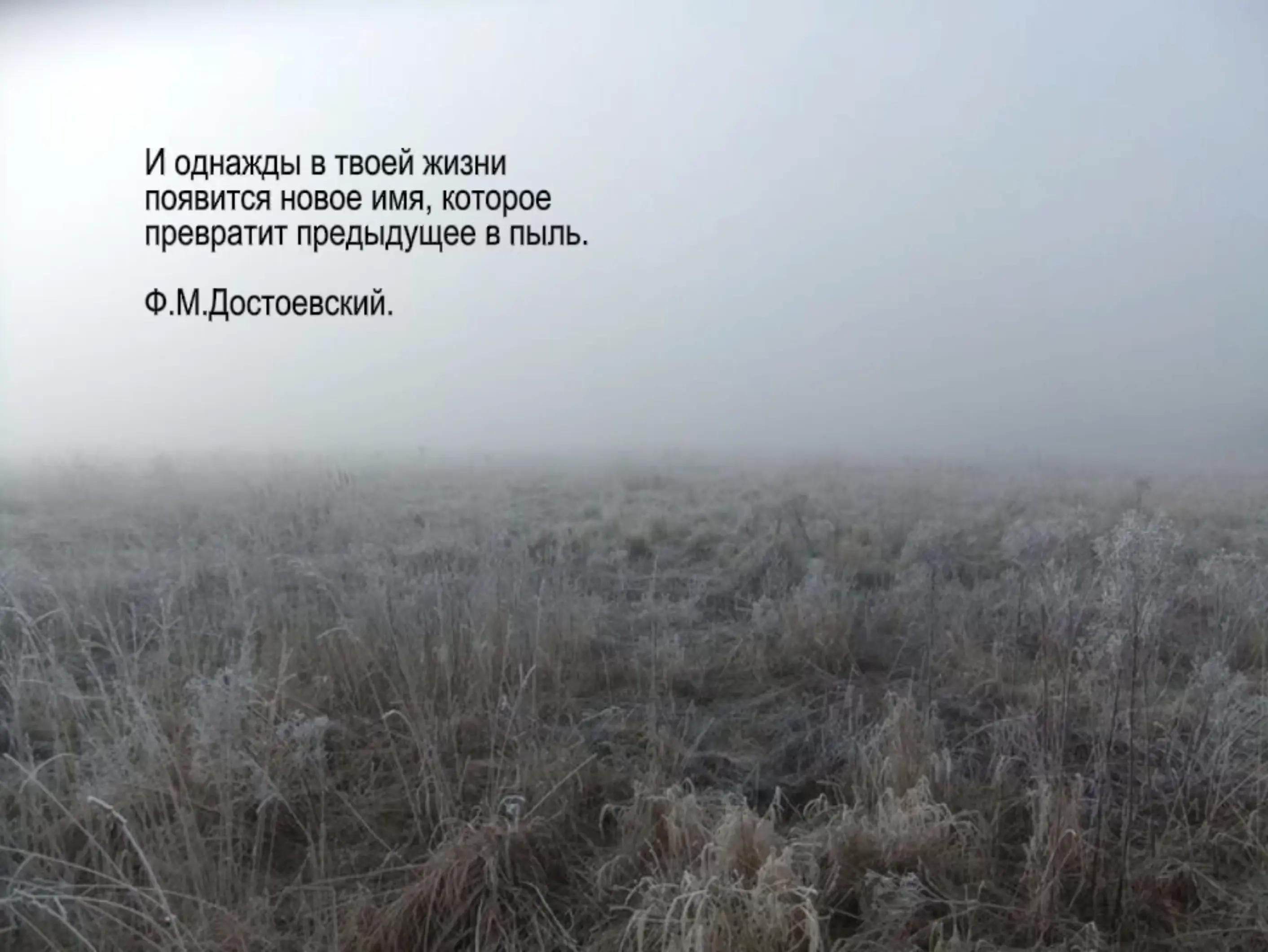 @лэй🤍