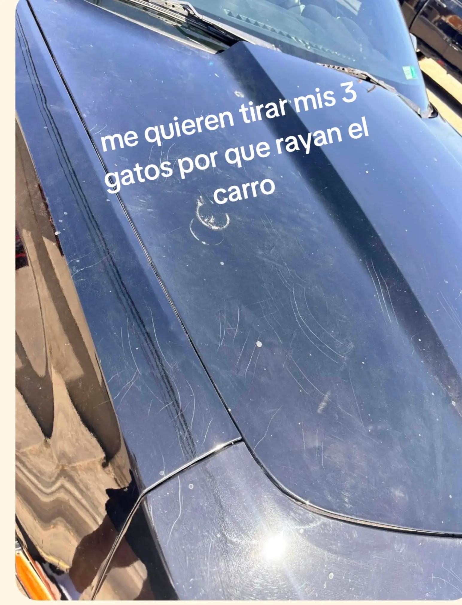 @Isabel Hernández