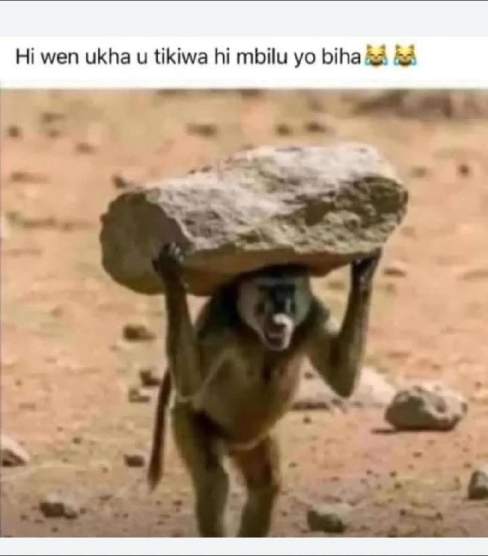 @minkeymathebula