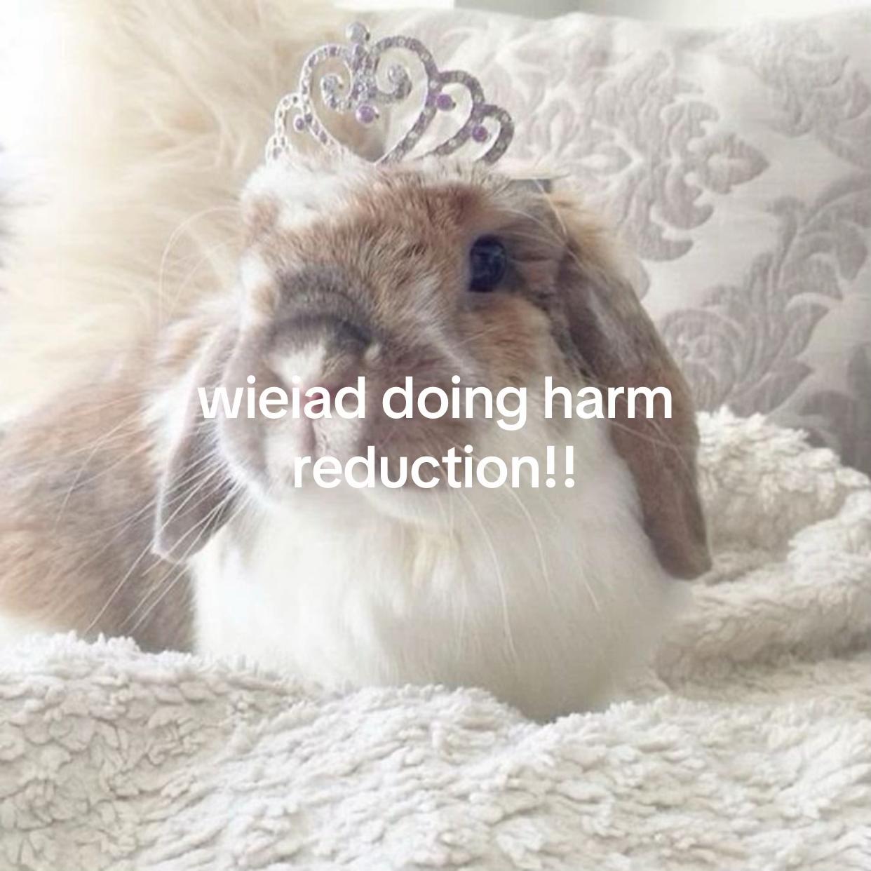 @🥞