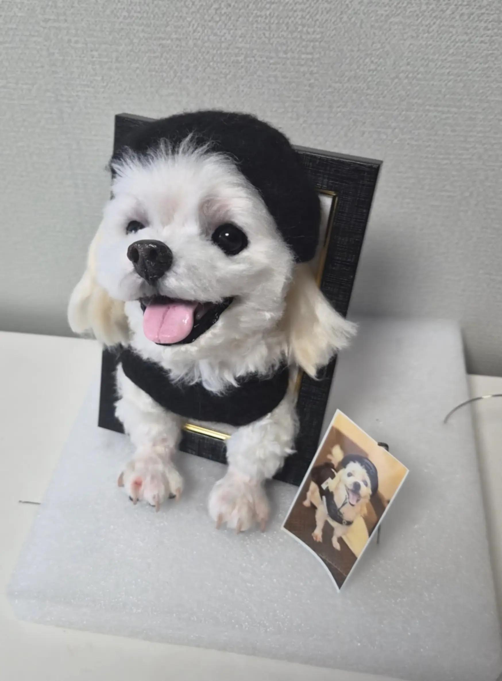 @아콩맘♡