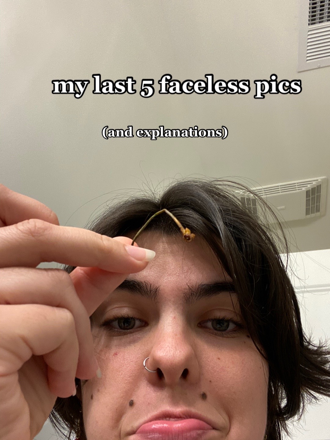 @pop punk princess 🤠