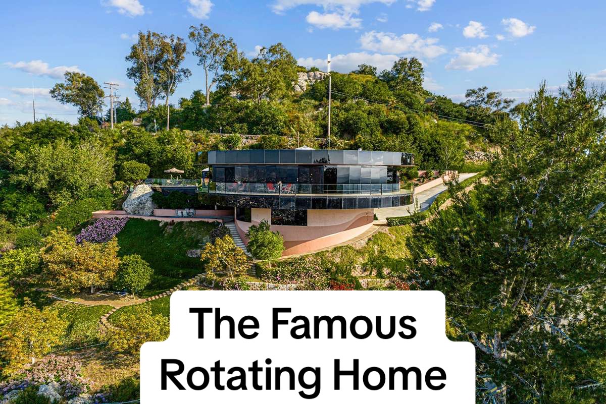 @Zany.Zillow