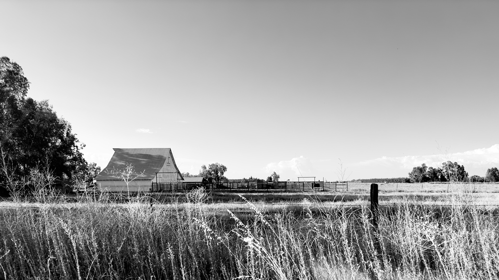 @awowensphotographic