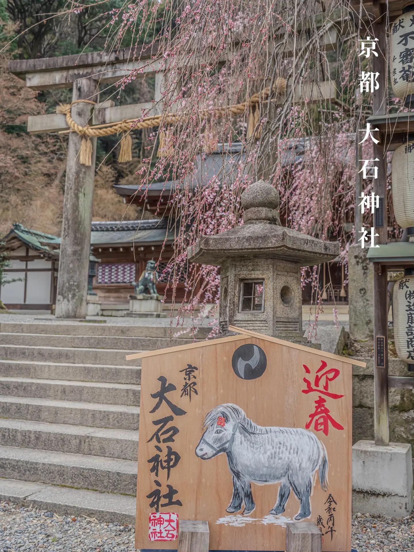 @kyoto_ken
