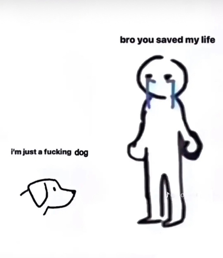 @svddenkvnt