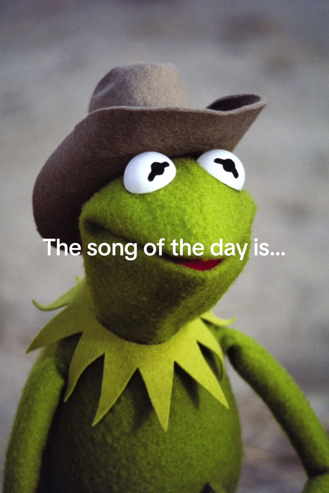 @CountryMusicEnjoyer🤠