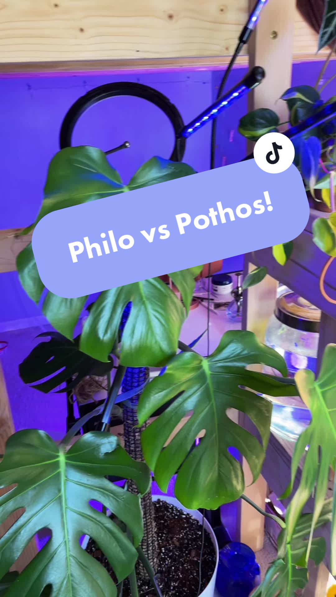 @plants 🌿