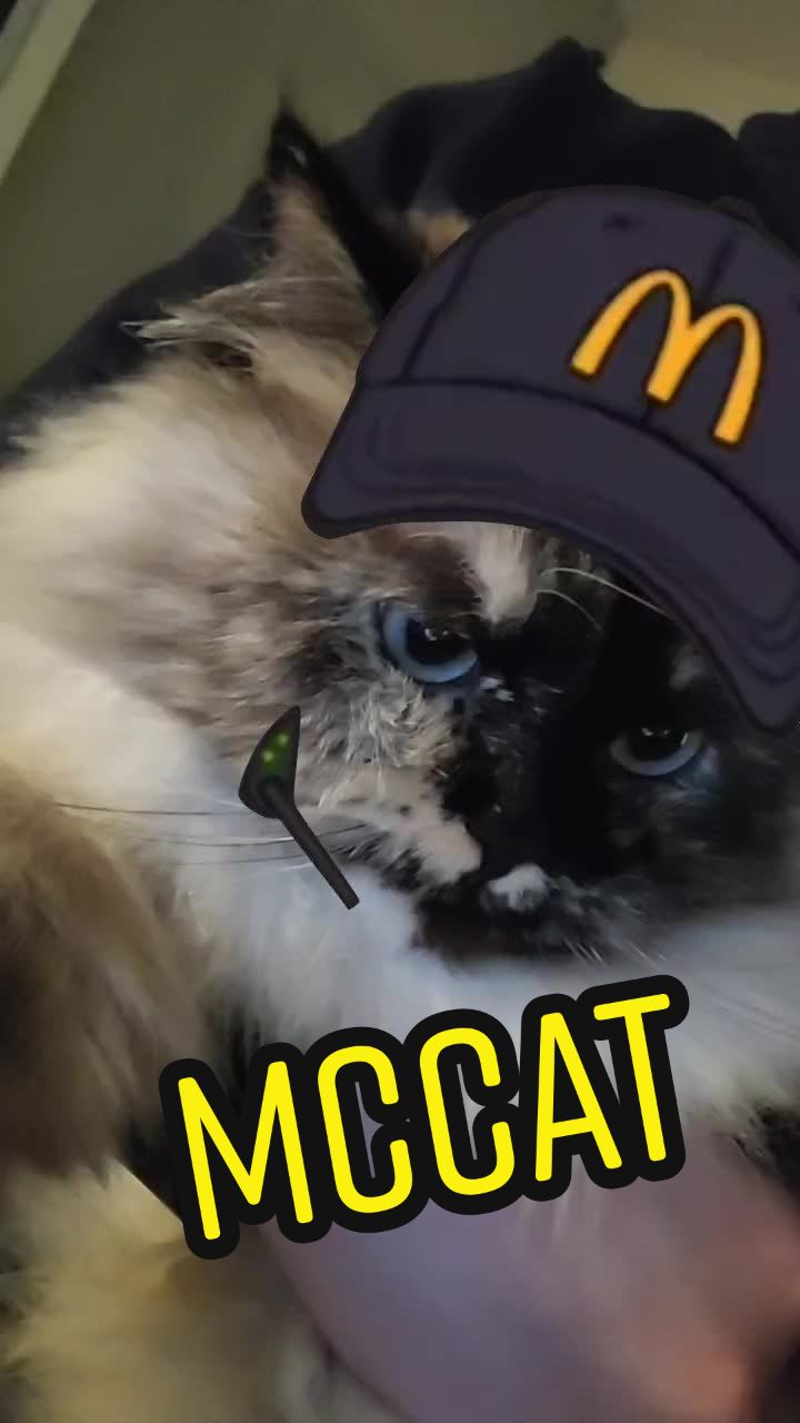@CatWith