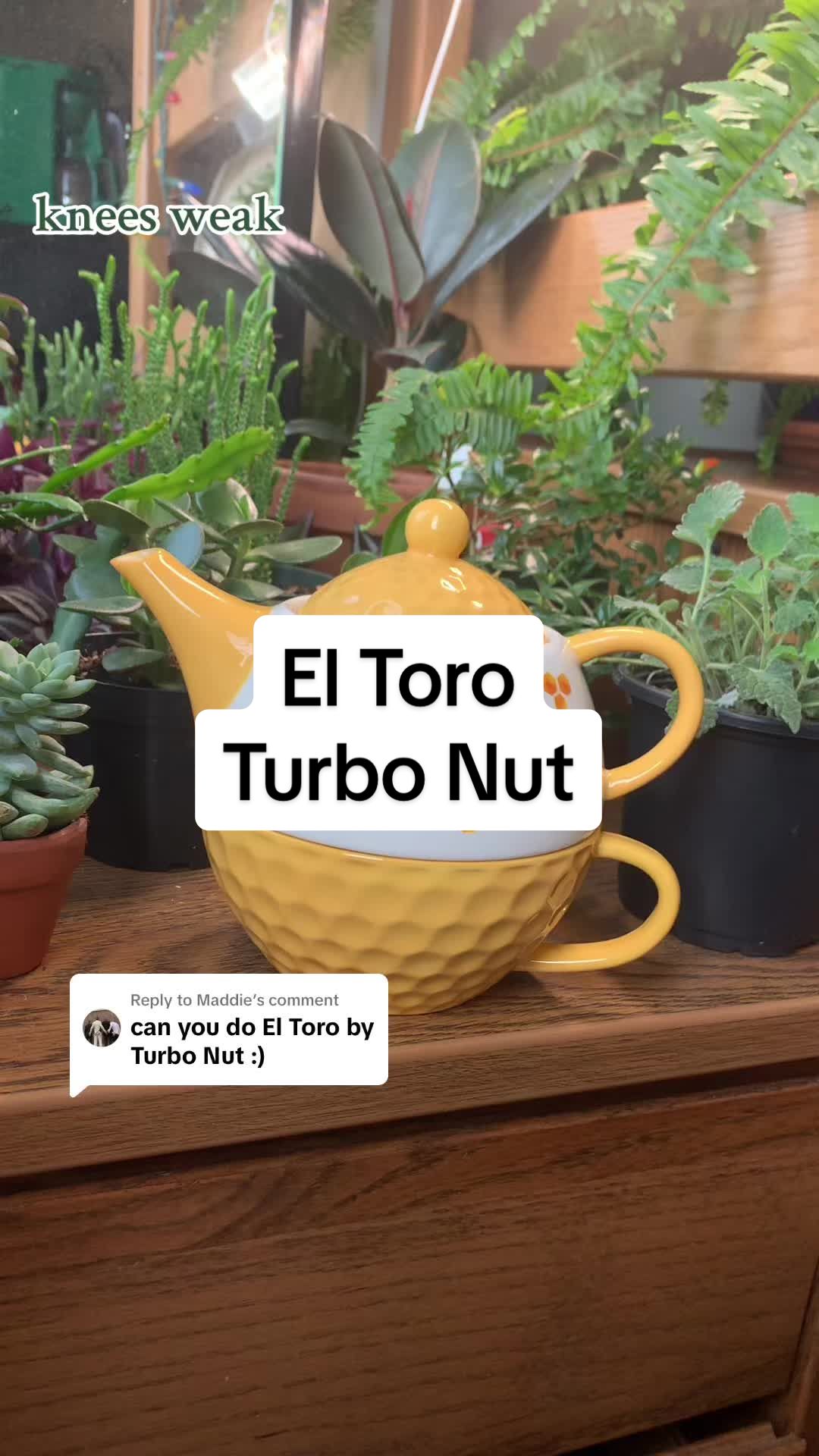 @Leo