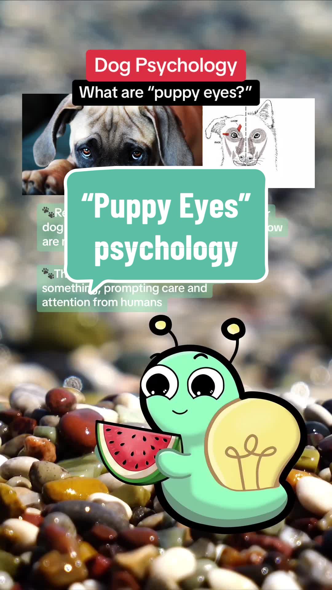 @Psych Snail